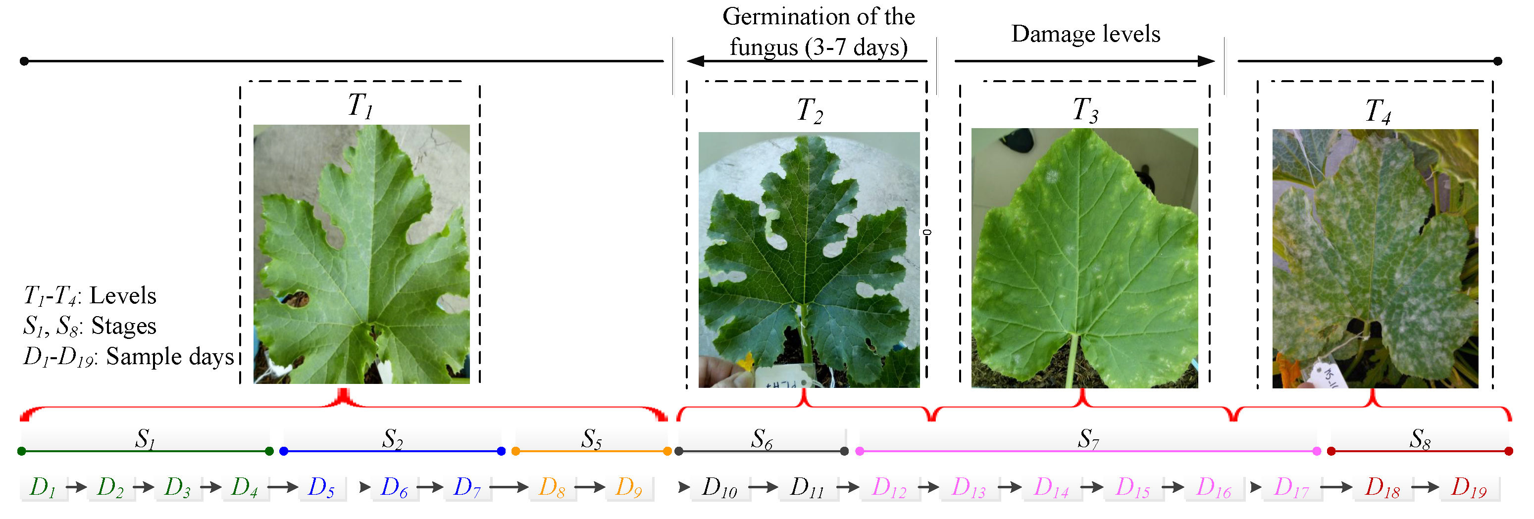 Inventions 09 00008 g002