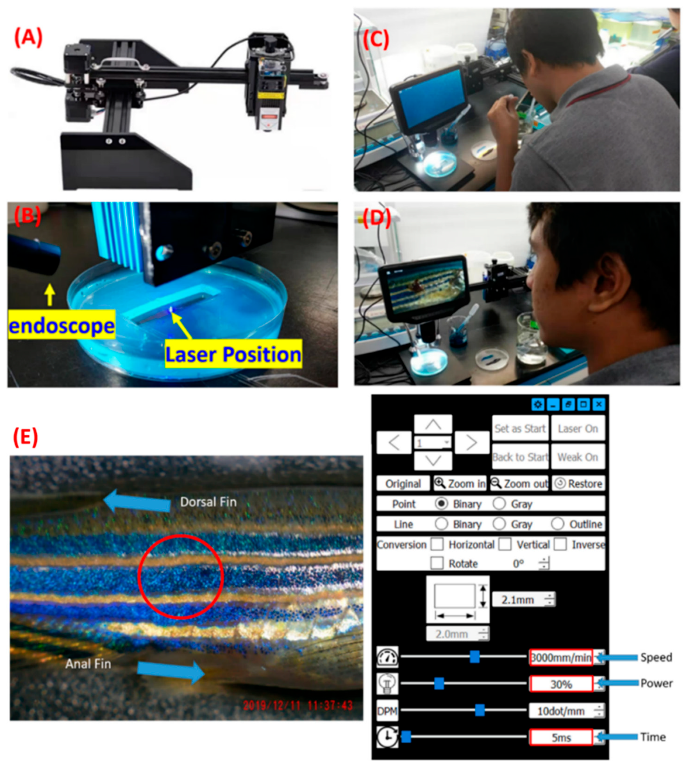 Inventions 09 00025 g001