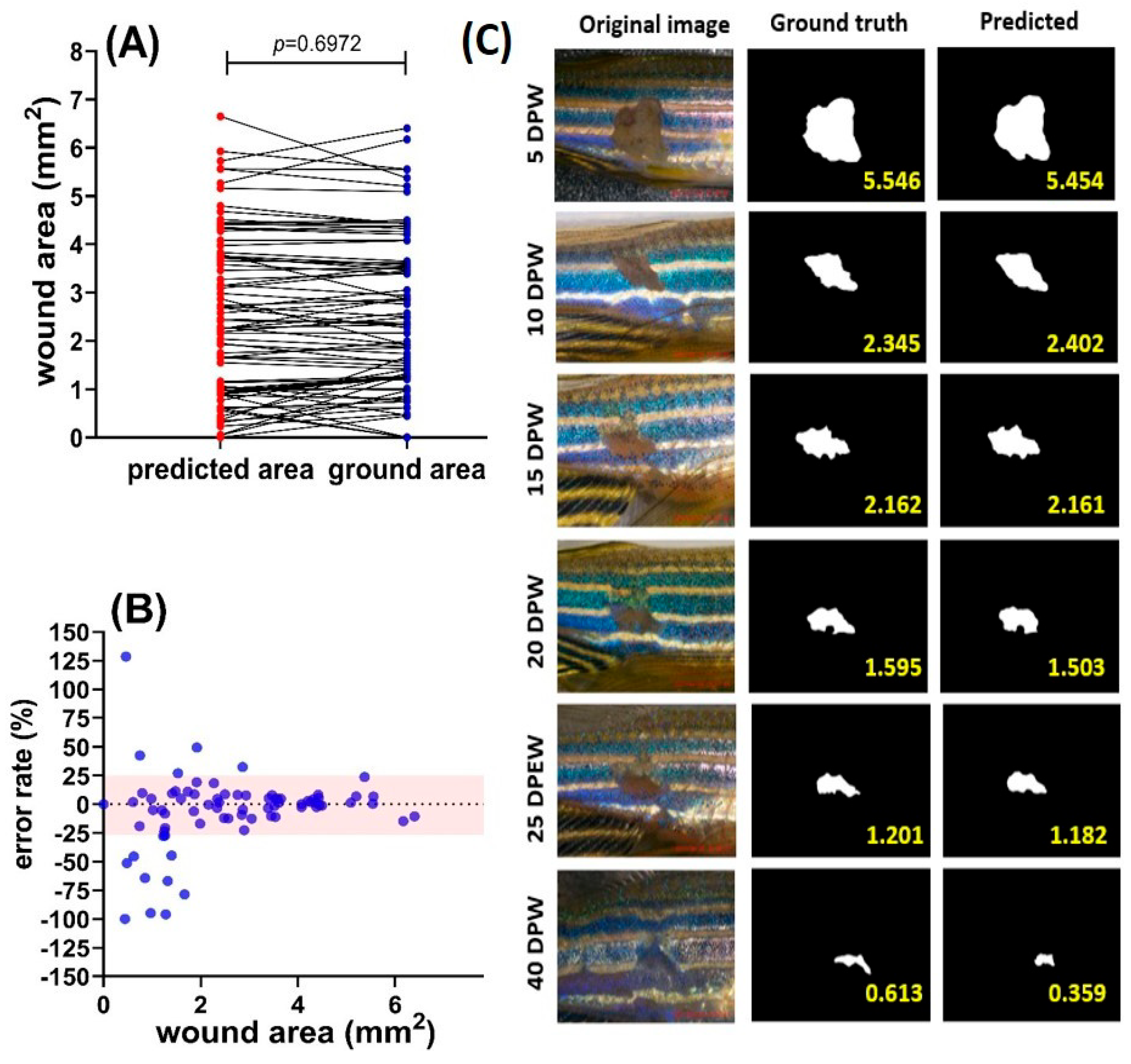 Inventions 09 00025 g006