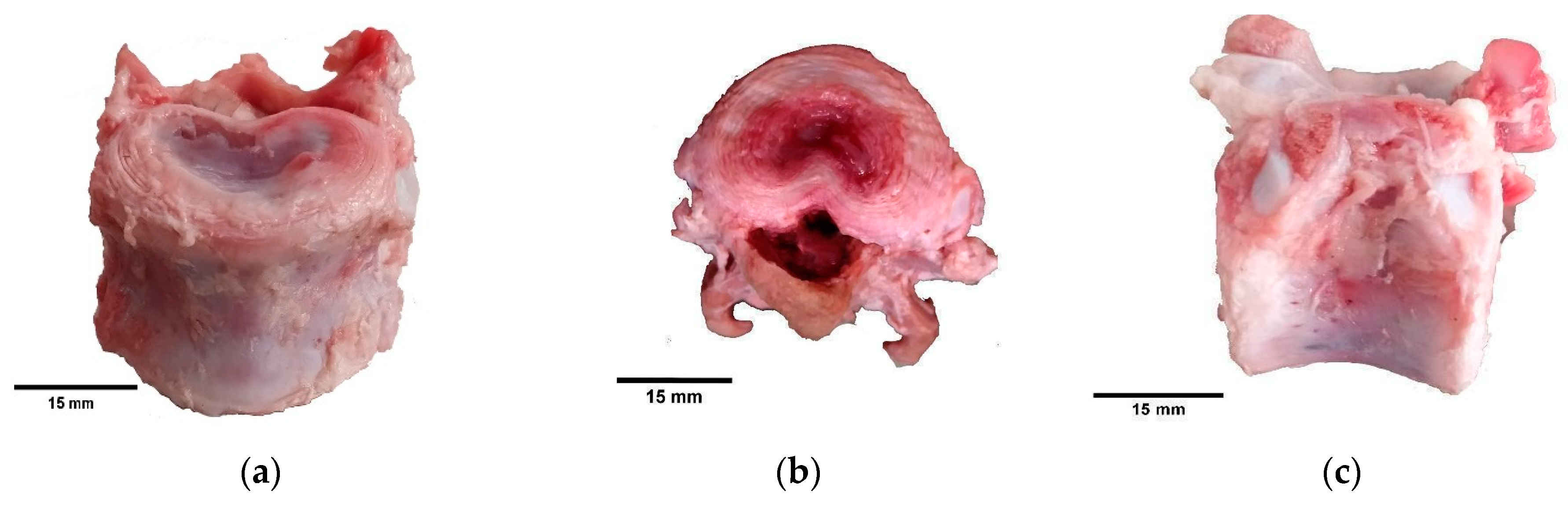 Inventions 09 00036 g001 Inventions 09 00036 g001