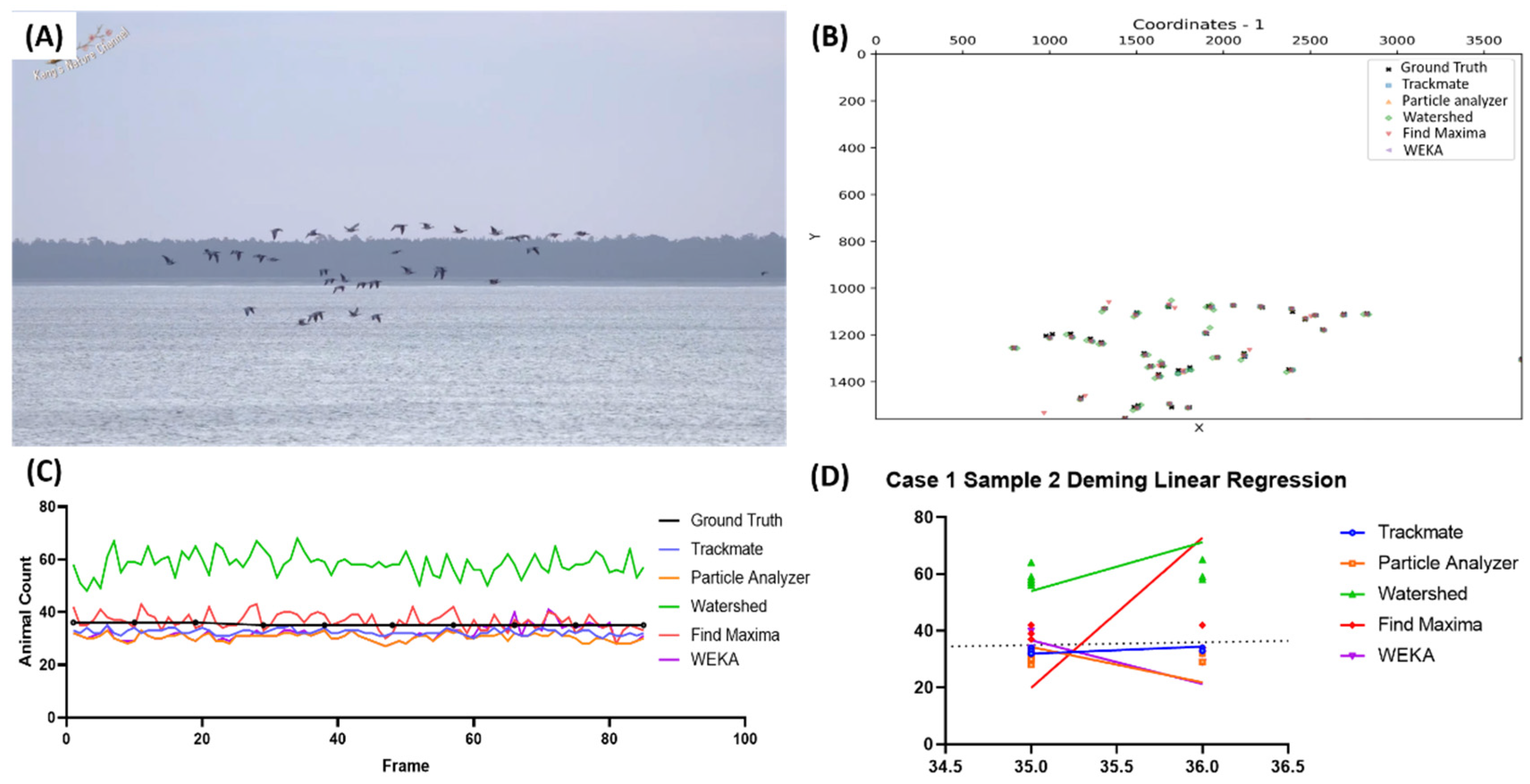 Inventions 09 00055 g002
