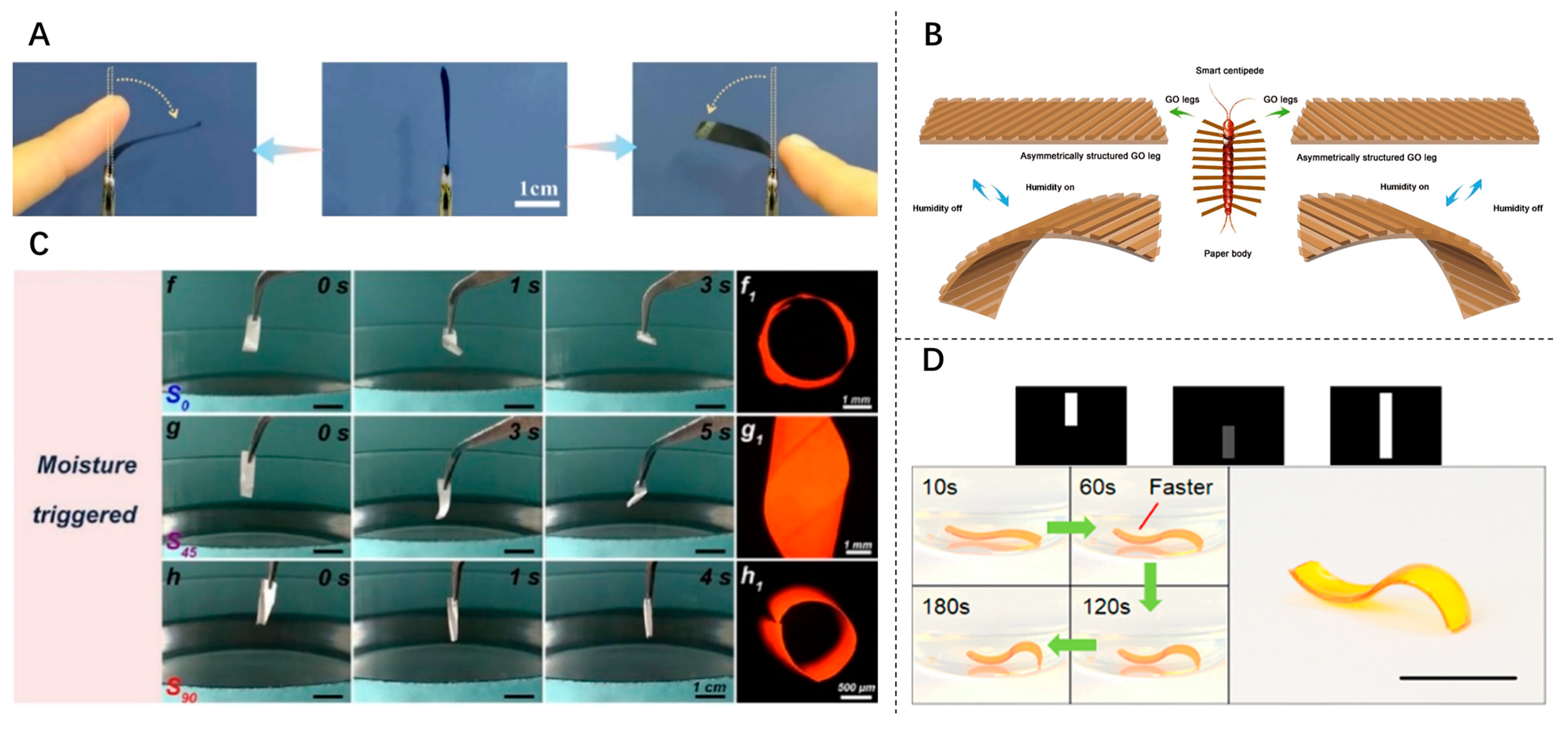 Inventions 09 00067 g003