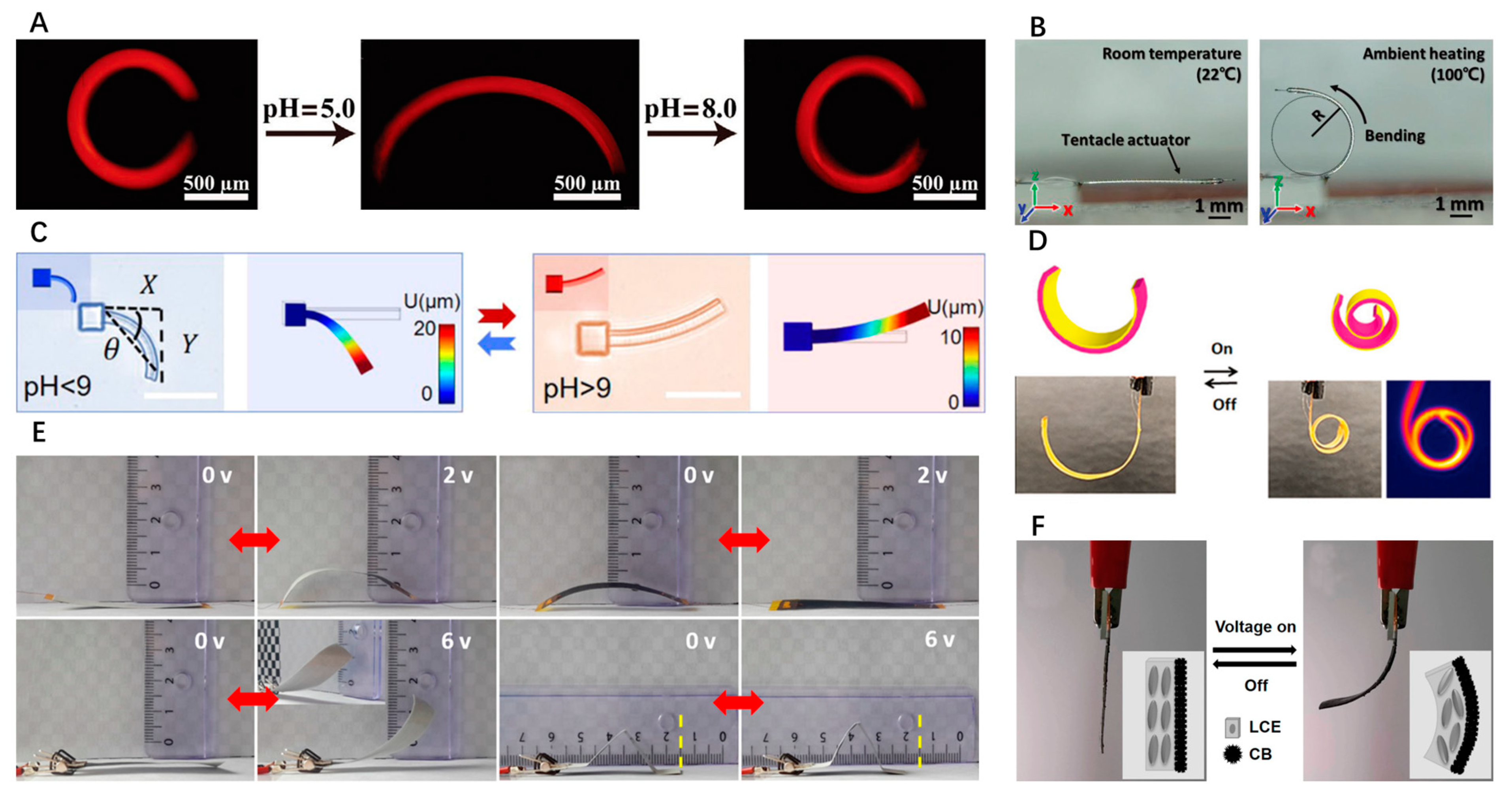 Inventions 09 00067 g005
