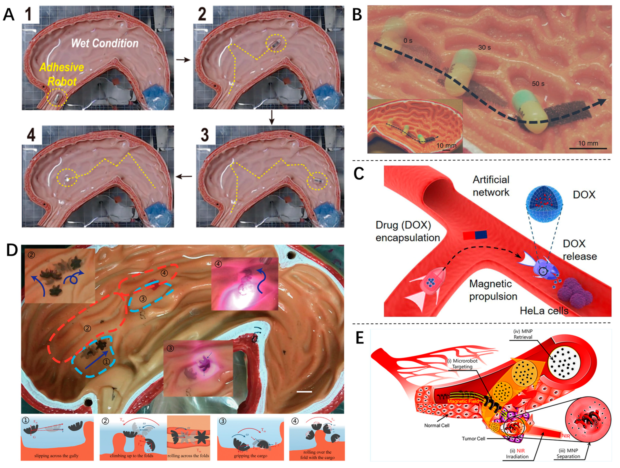 Inventions 09 00067 g013