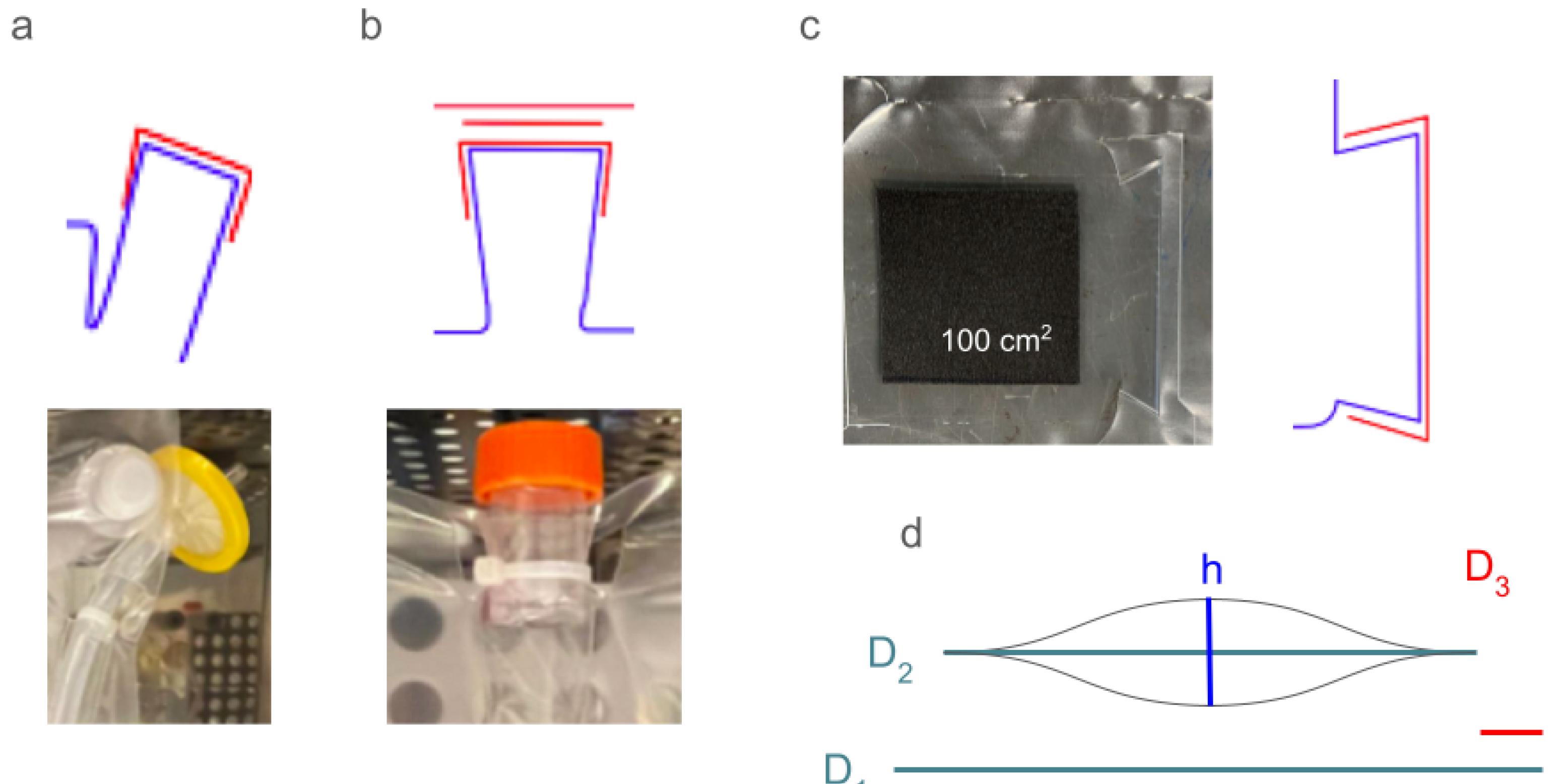 Inventions 09 00068 g002