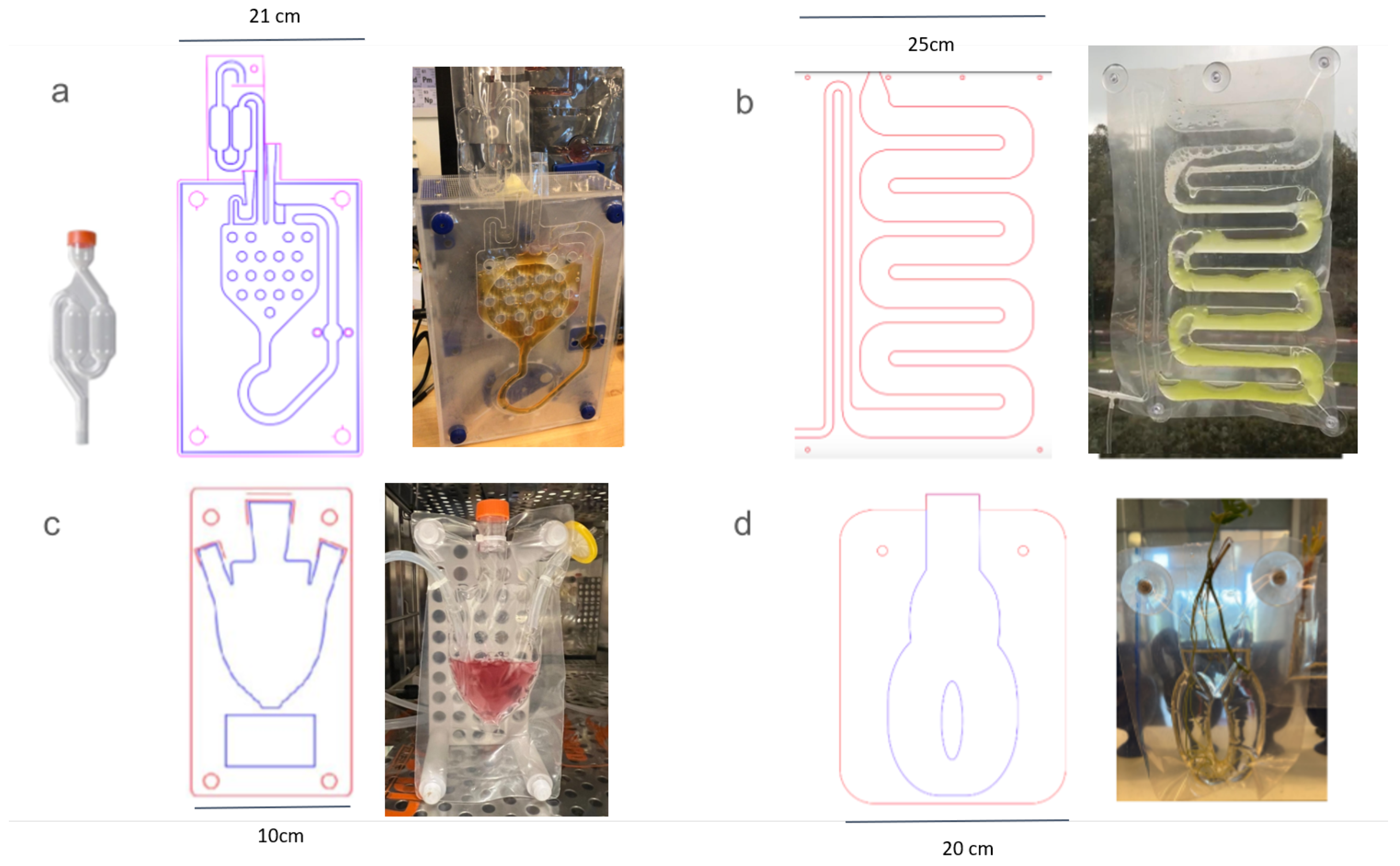 Inventions 09 00068 g004