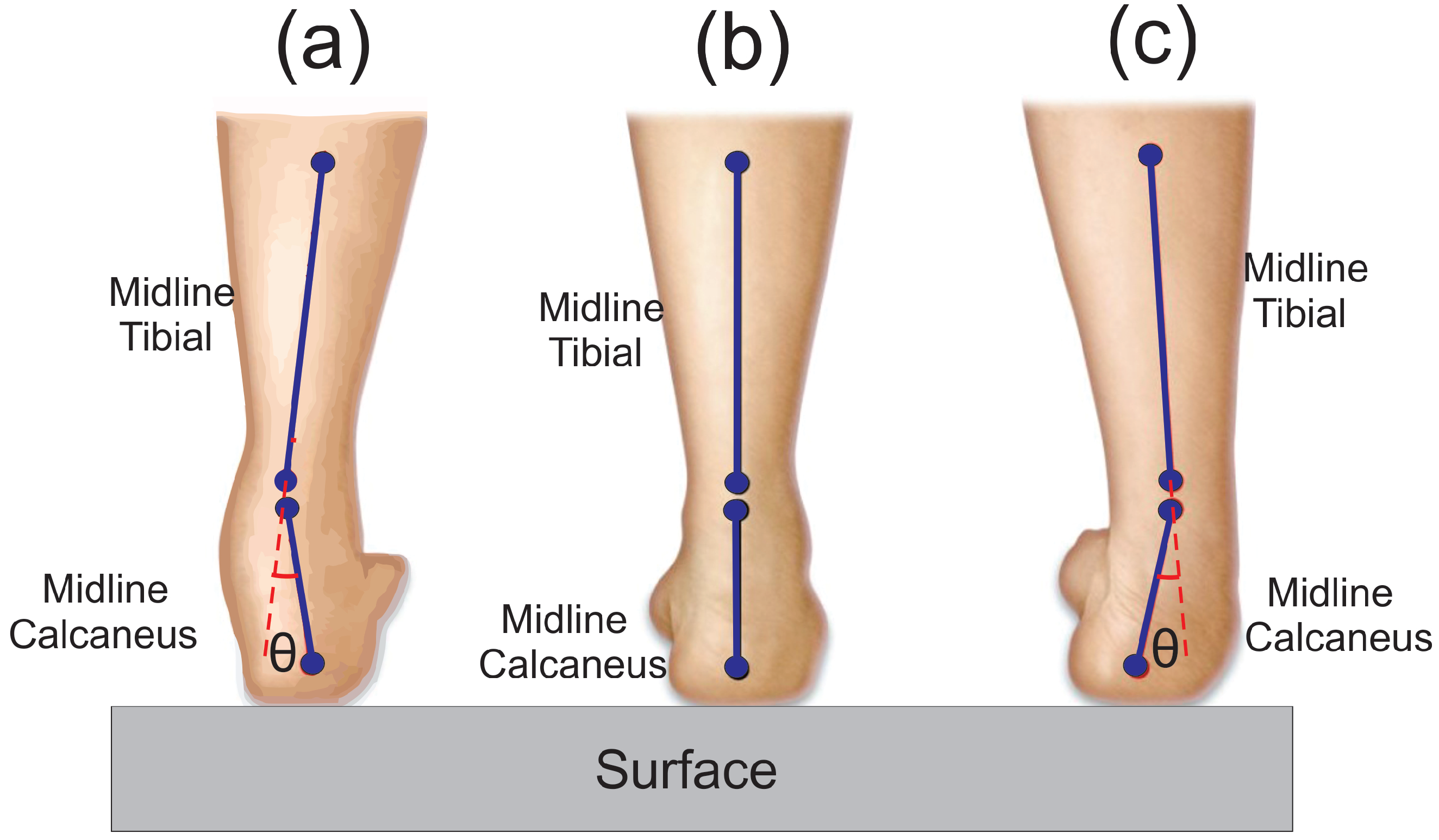 Inventions 09 00122 g001