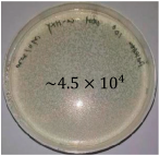 Inventions 10 00018 i001