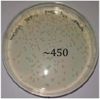 Inventions 10 00018 i003