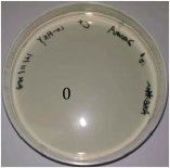 Inventions 10 00018 i004