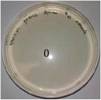 Inventions 10 00018 i006