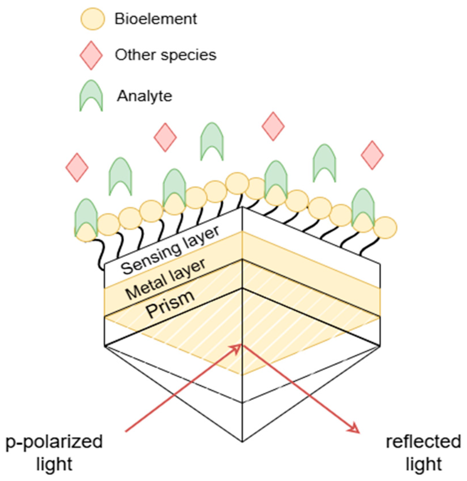 Inventions 10 00031 g001