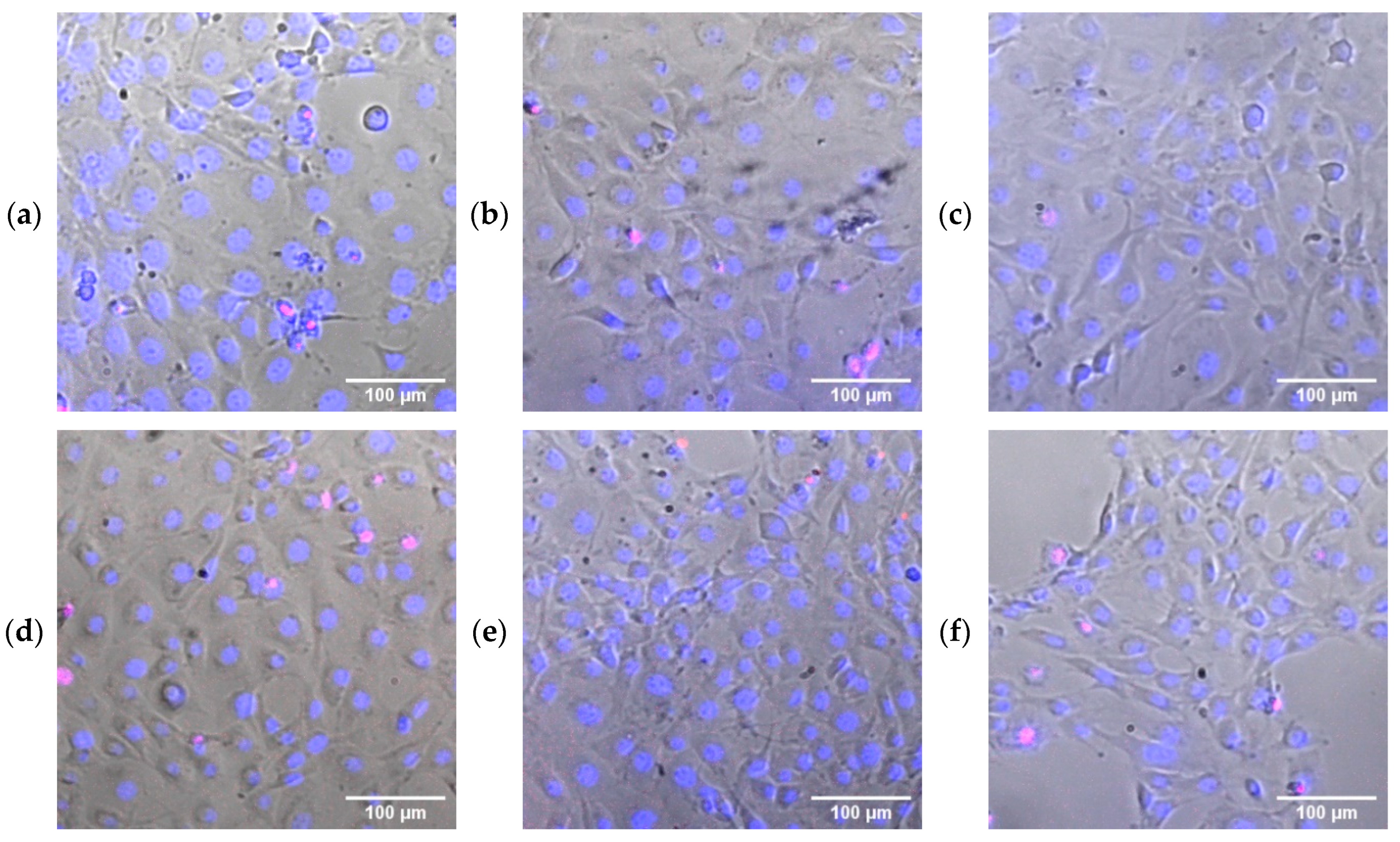 Inventions 10 00082 g008