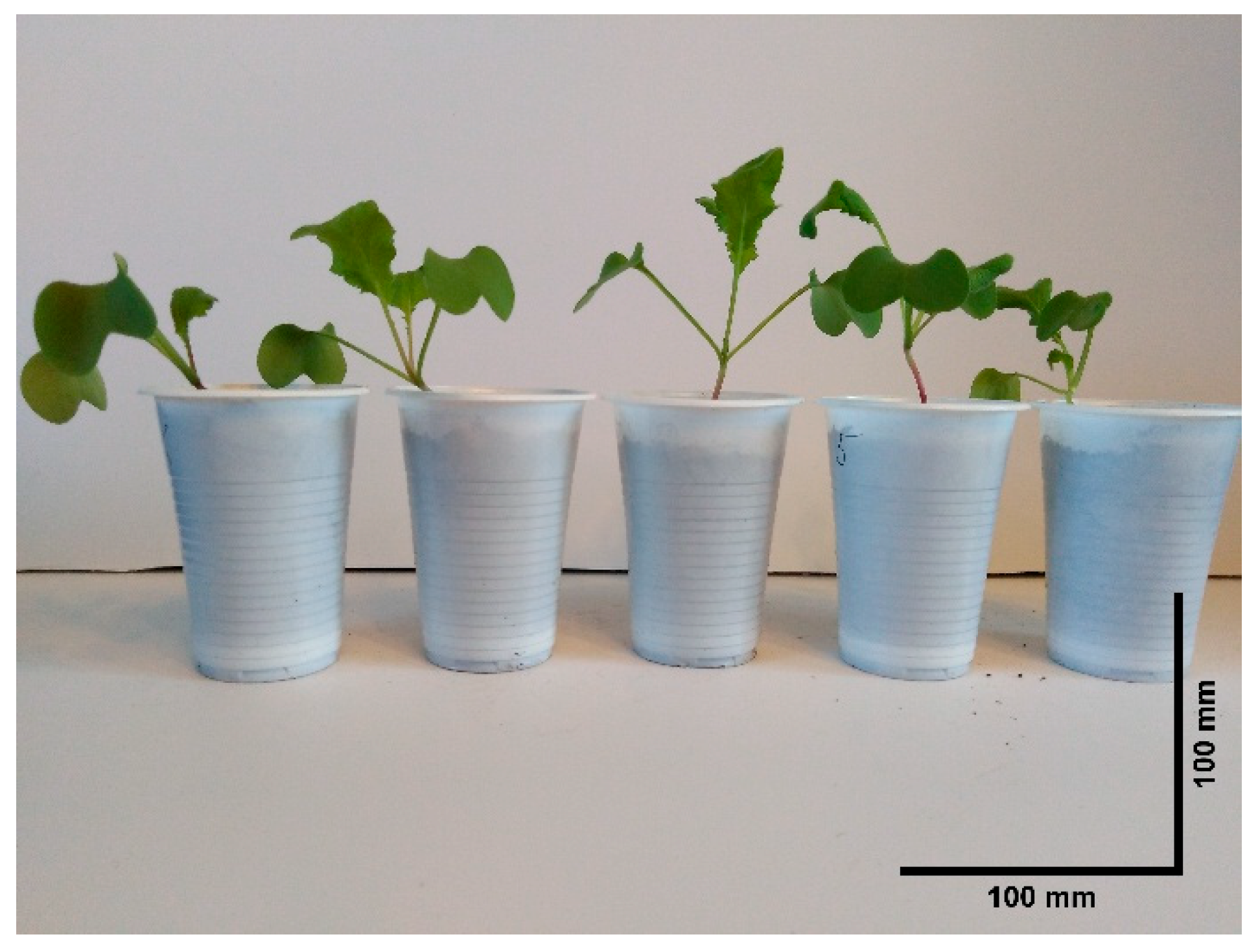 Inventions 10 00082 g009