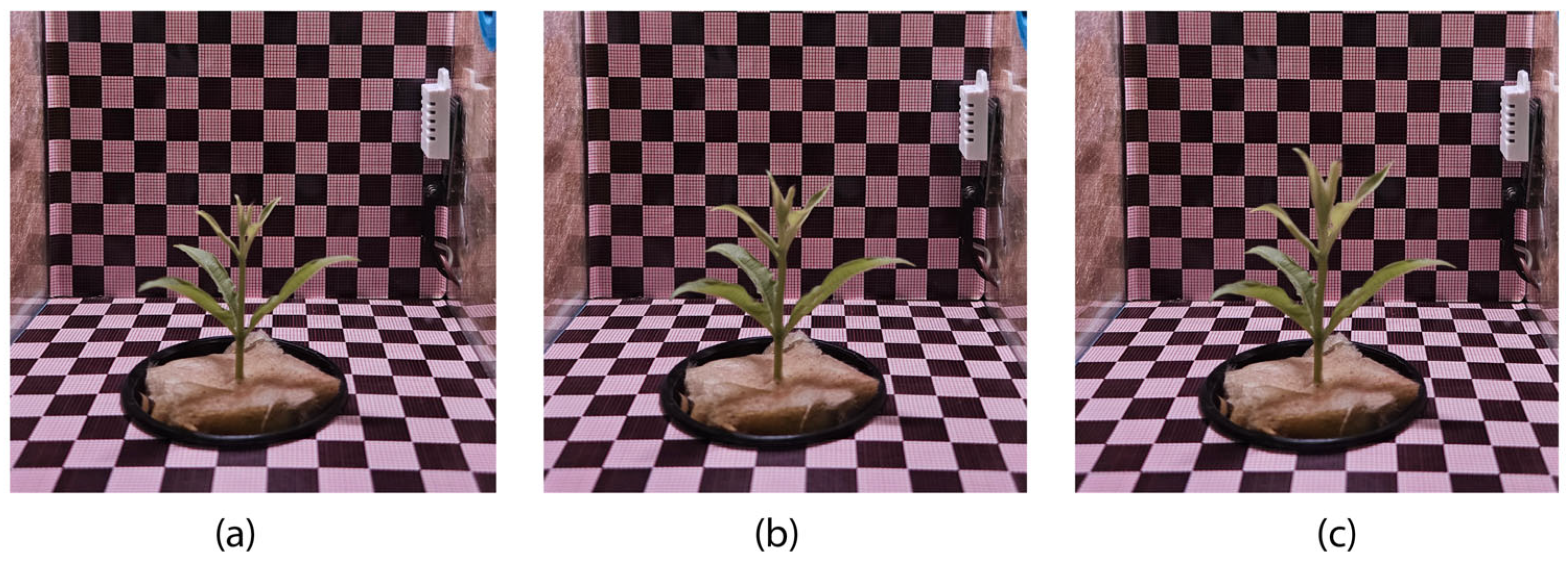 Inventions 10 00108 g005 Inventions 10 00108 g005