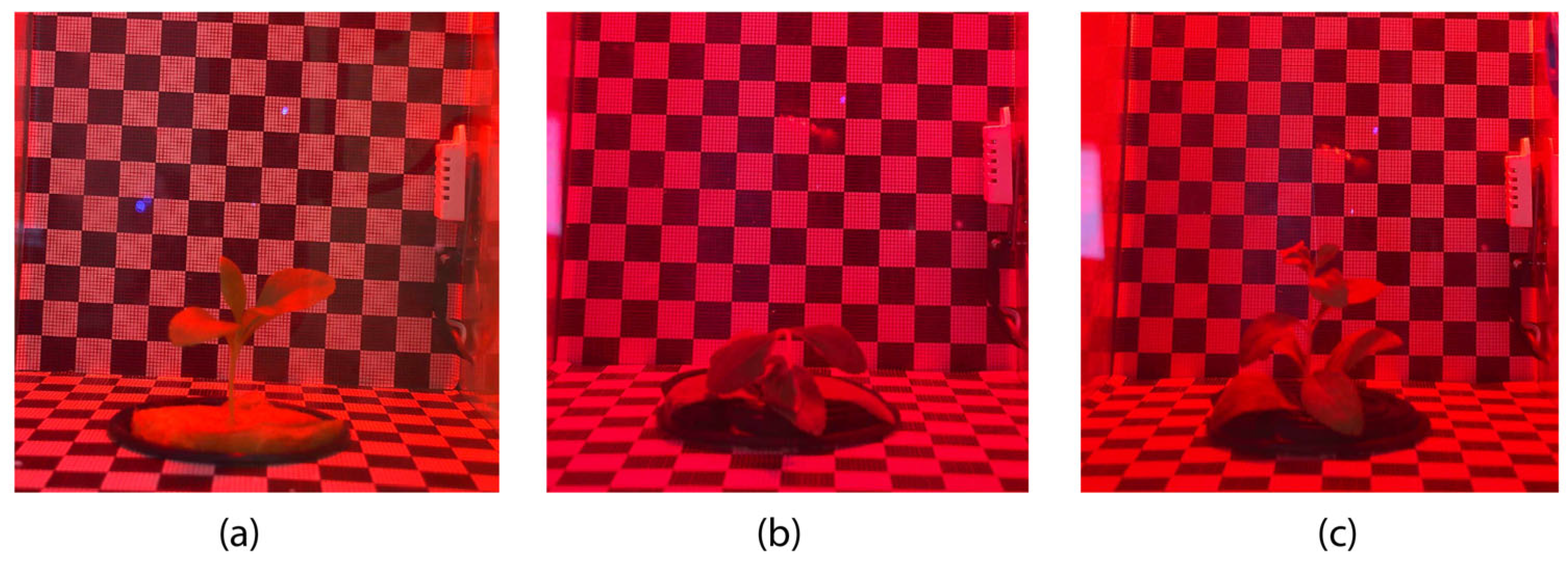 Inventions 10 00108 g008 Inventions 10 00108 g008