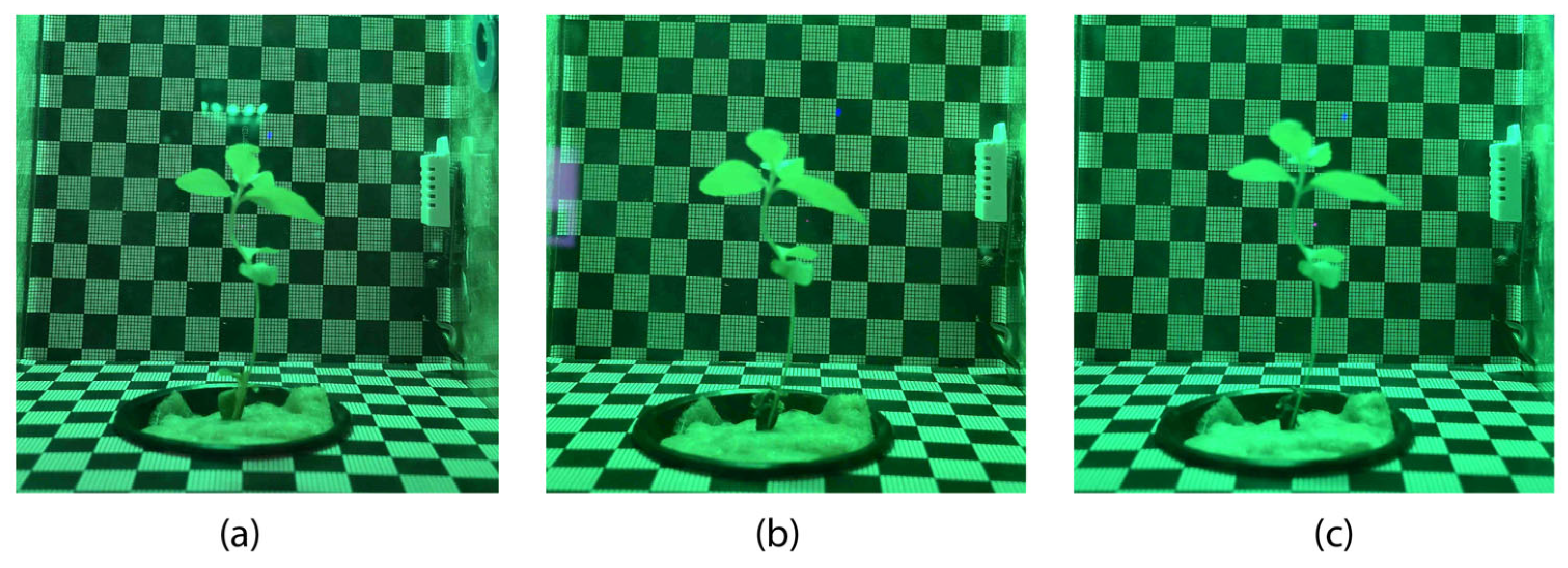 Inventions 10 00108 g011 Inventions 10 00108 g011