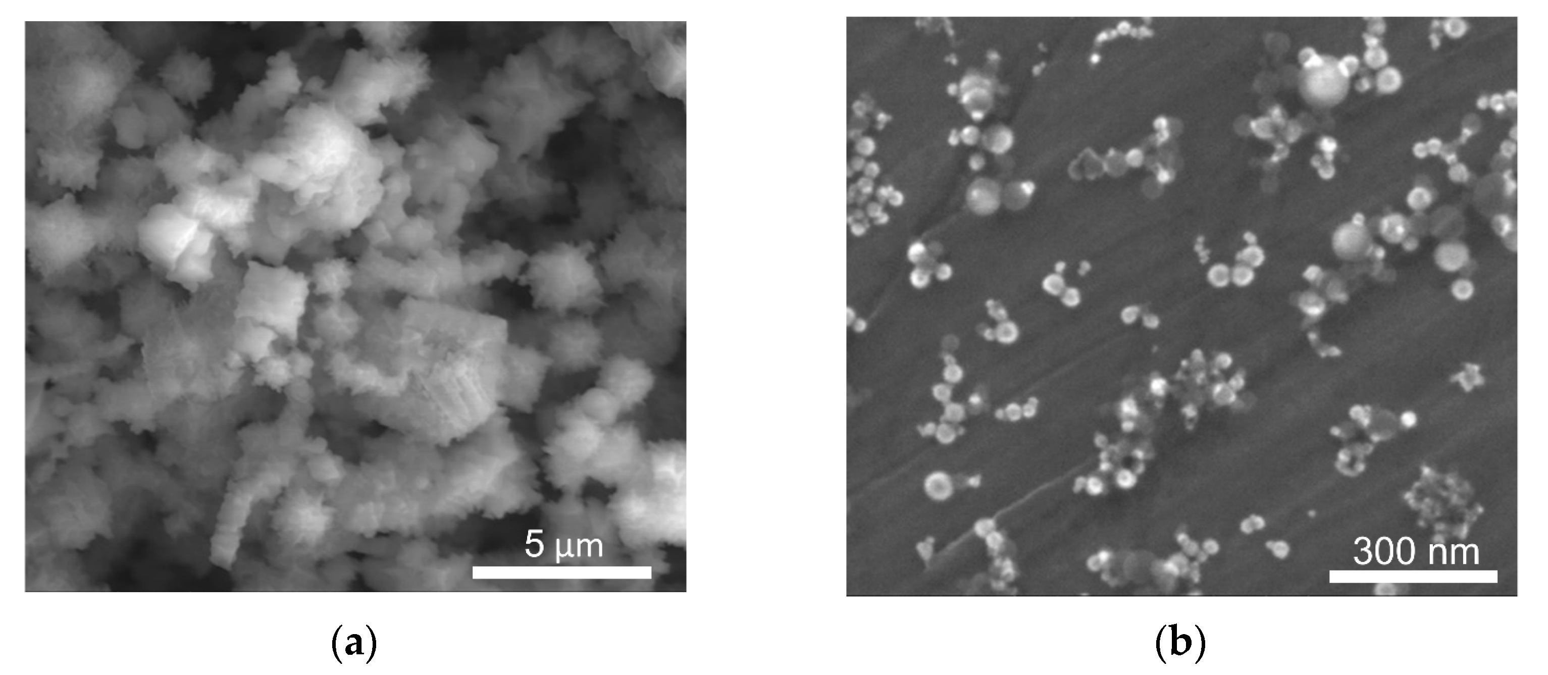 Inventions 11 00001 g001