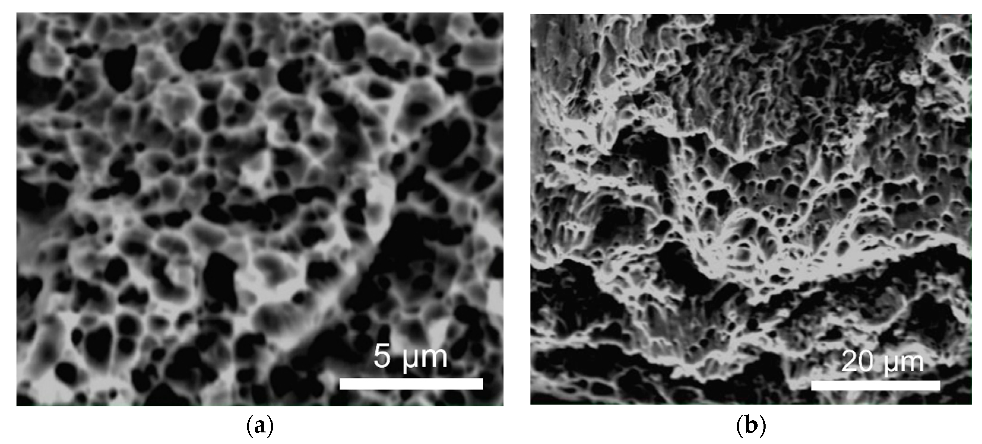 Inventions 11 00001 g018