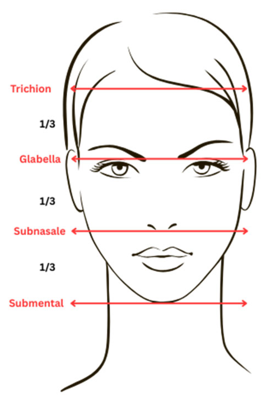 Jaestheticmed 01 00008 g002
