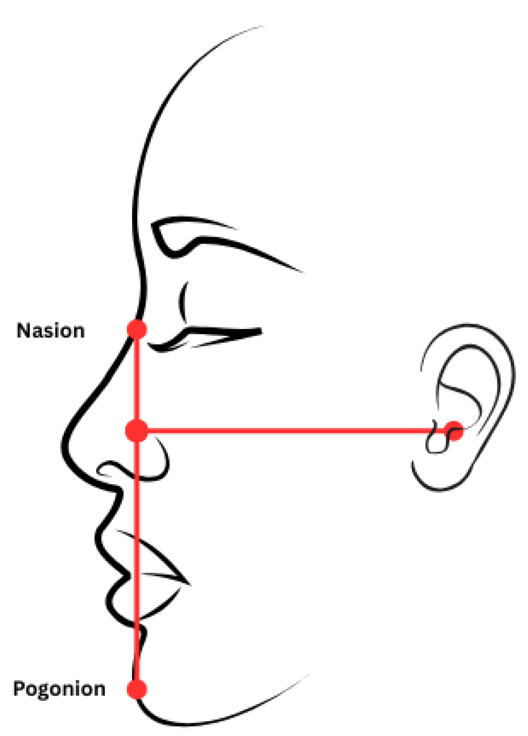 Jaestheticmed 01 00008 g004