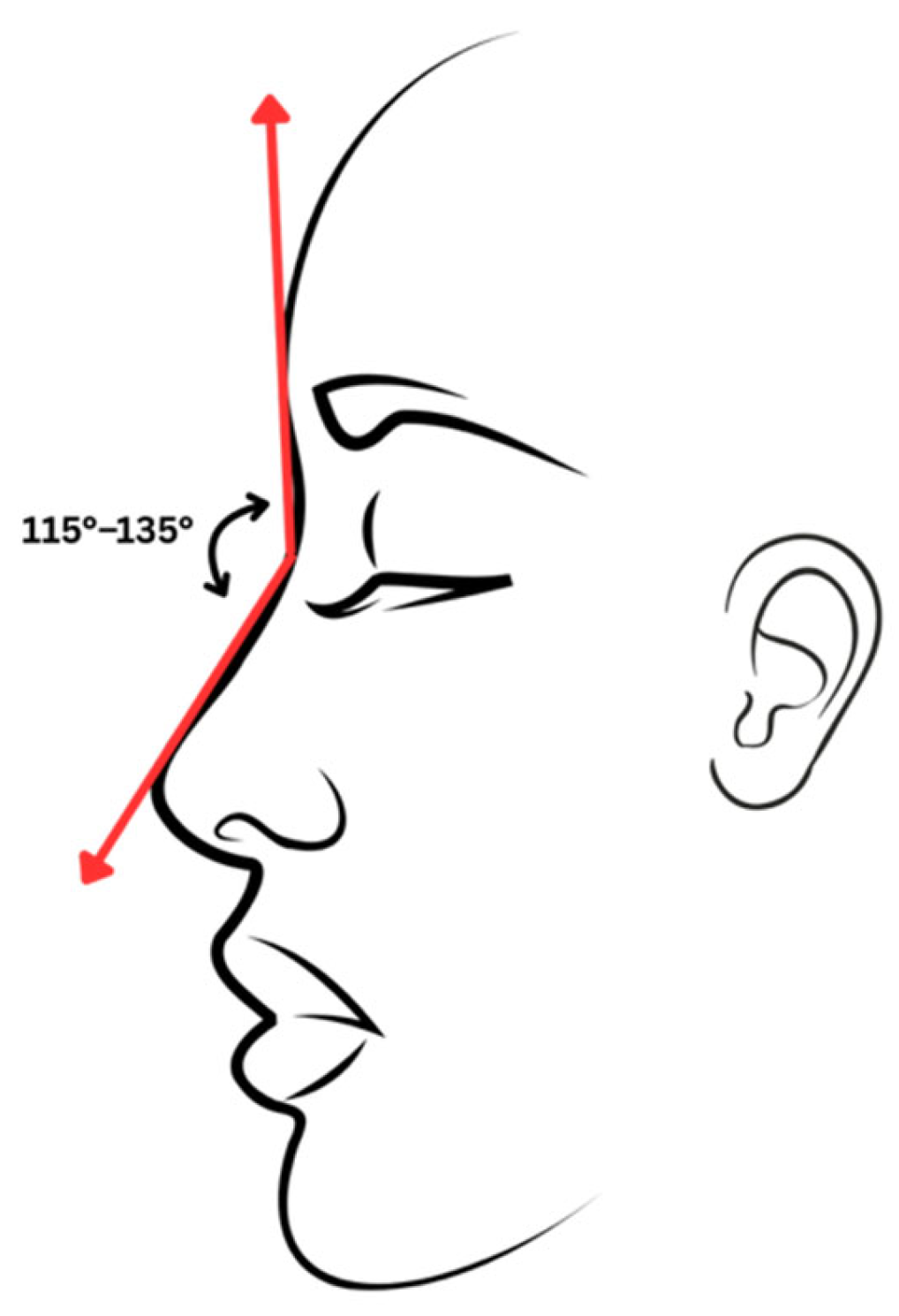 Jaestheticmed 01 00008 g005