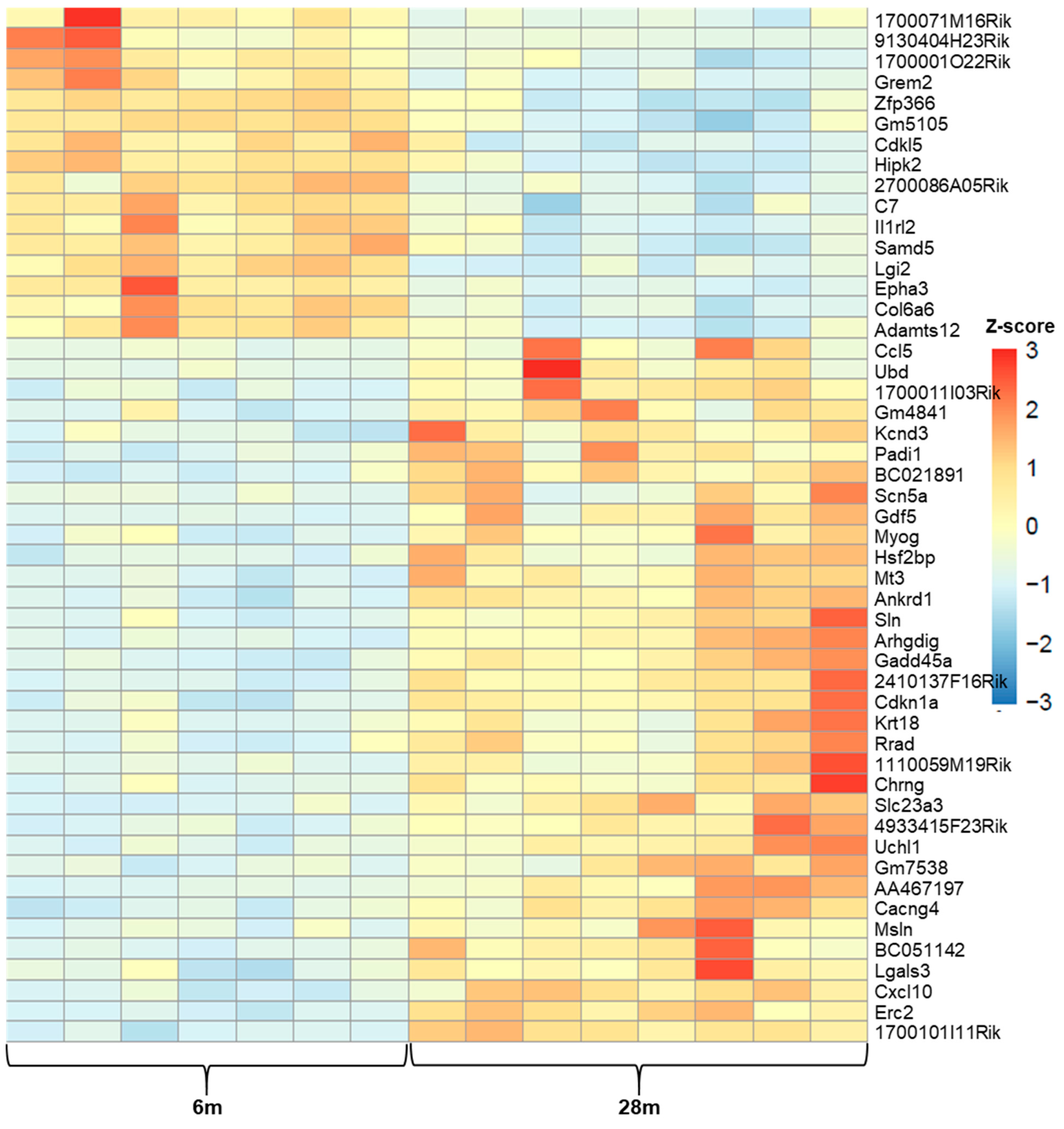 Jal 03 00013 g002 Jal 03 00013 g002