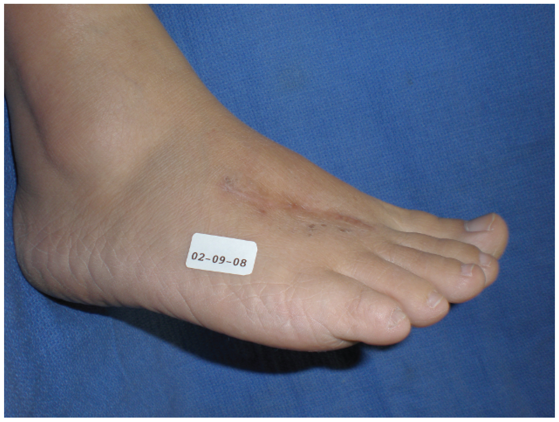 Japma 101 00070 g010