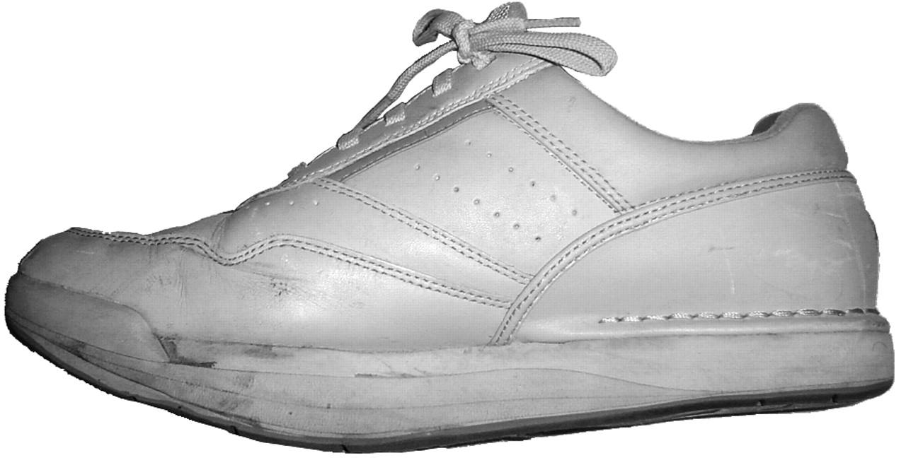 Japma 93 00174 g004