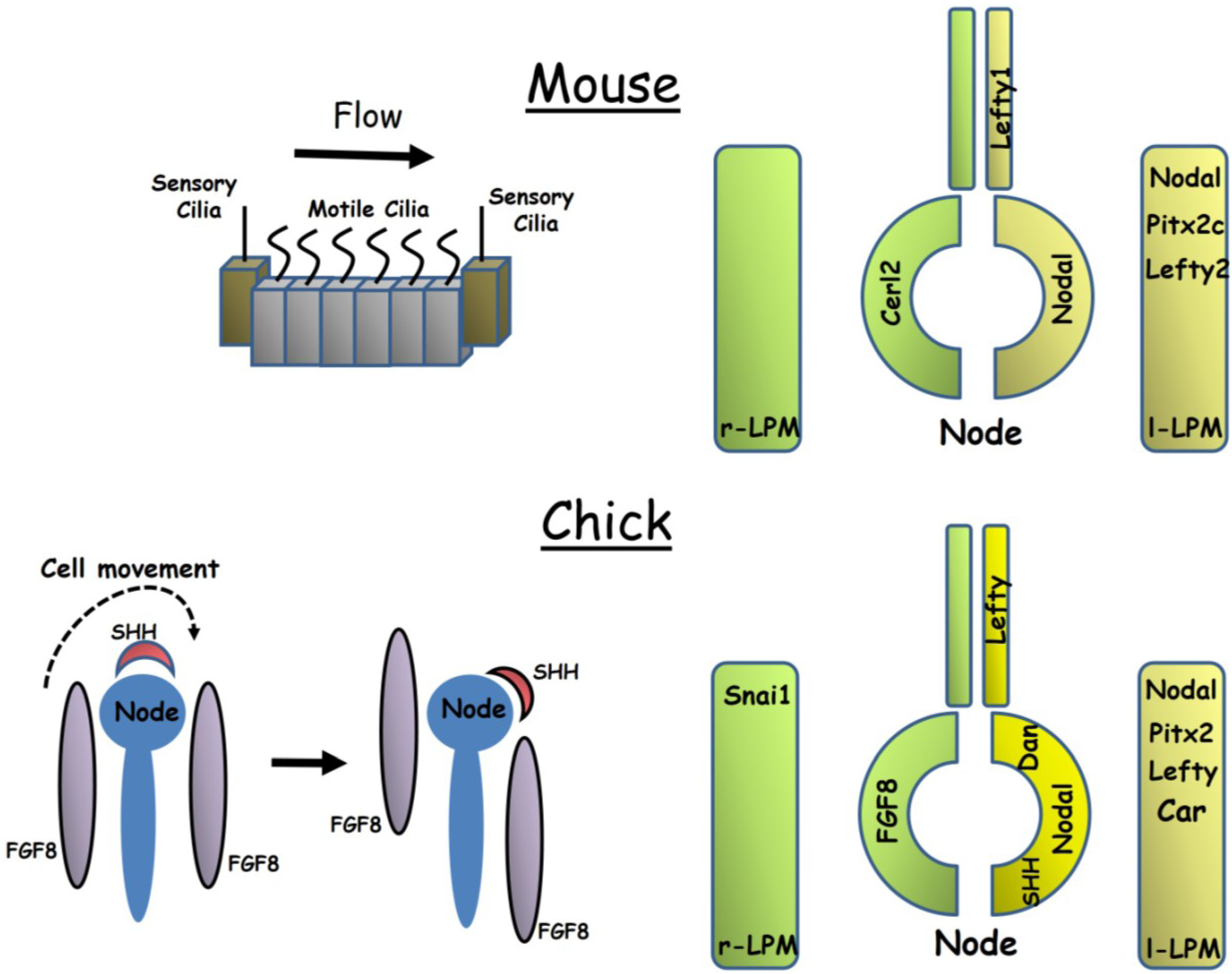 Jcdd 01 00052 g001 1024