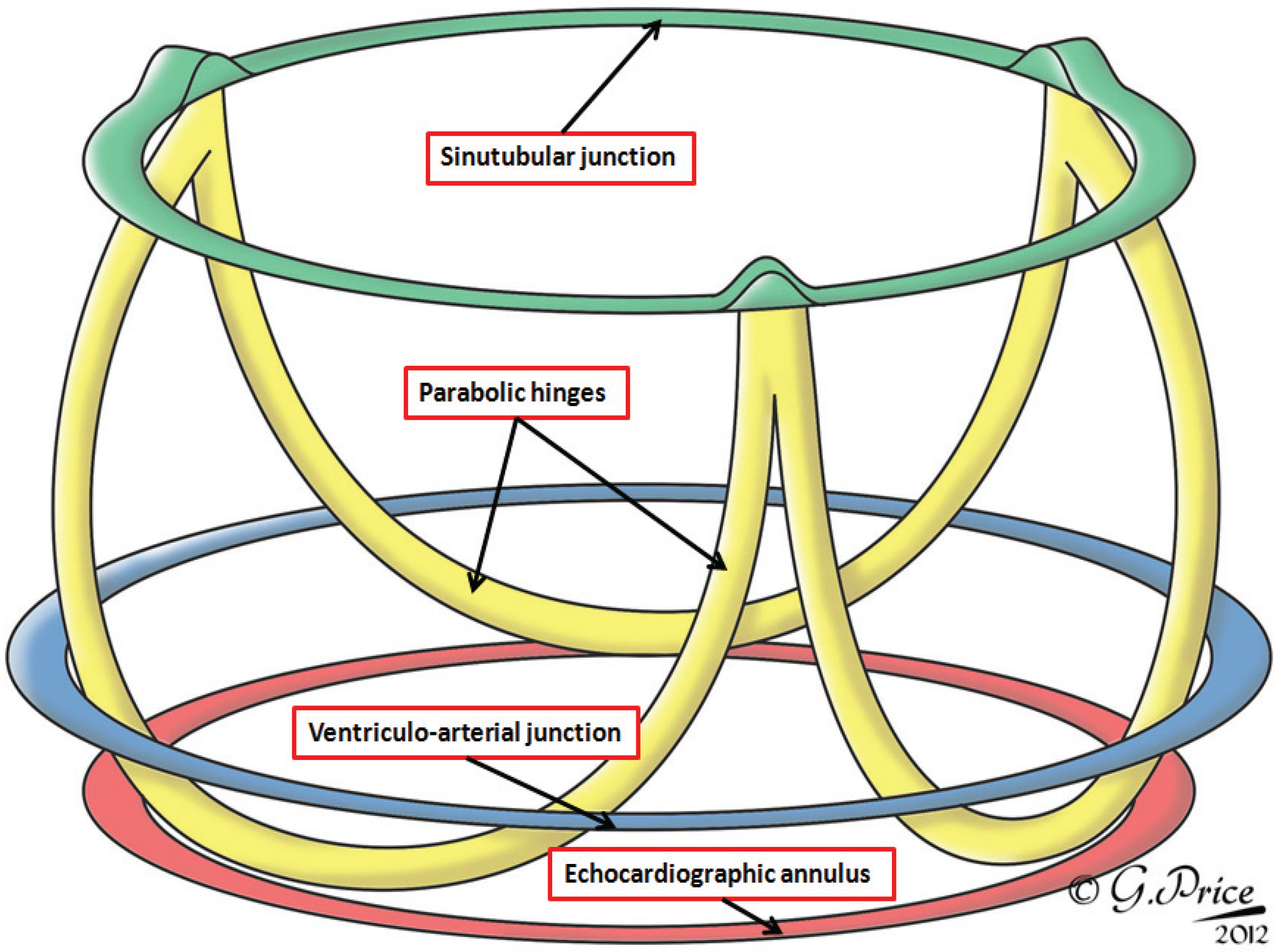 Jcdd 01 00177 g003 1024