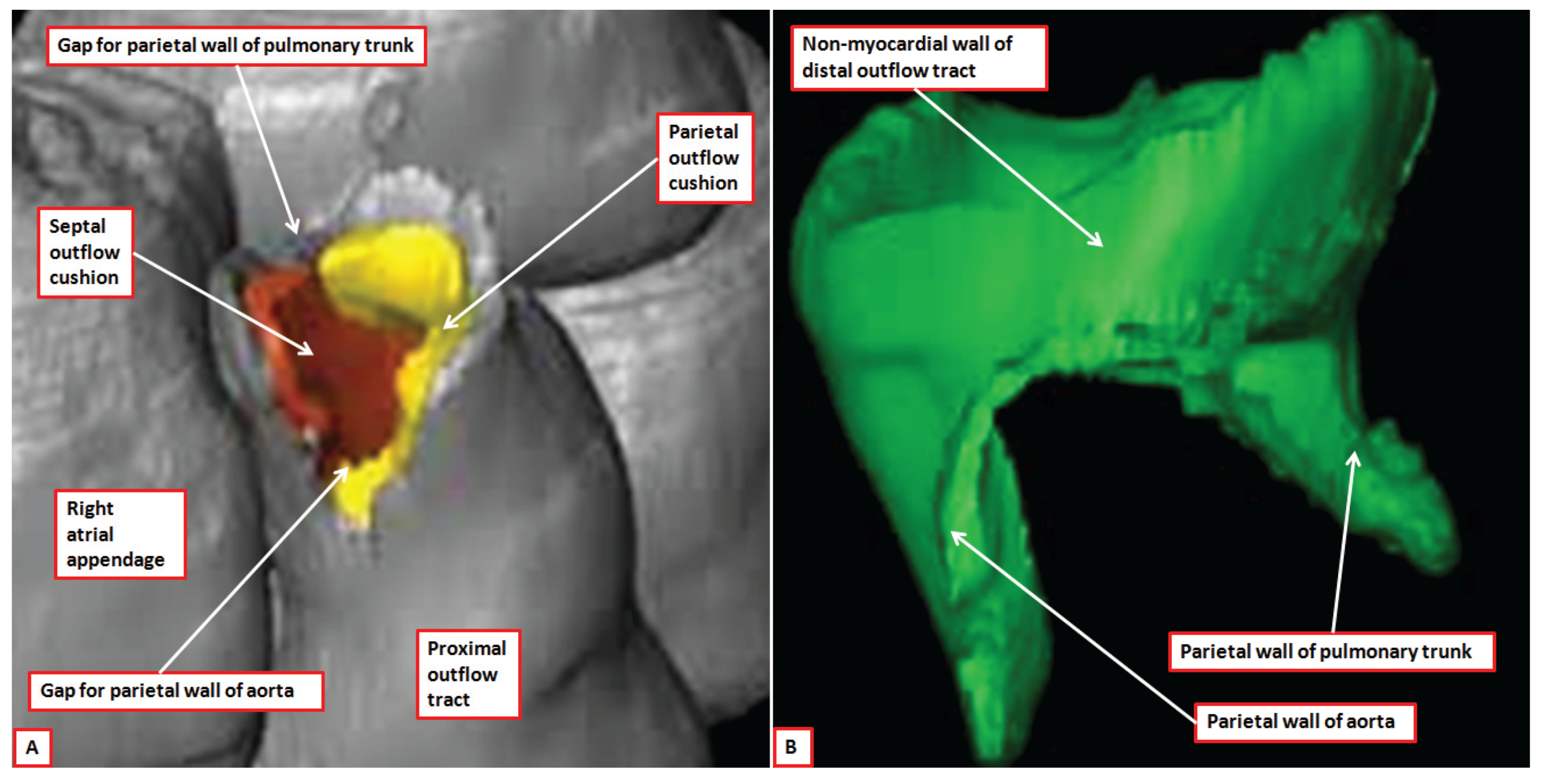 Jcdd 01 00177 g008 1024