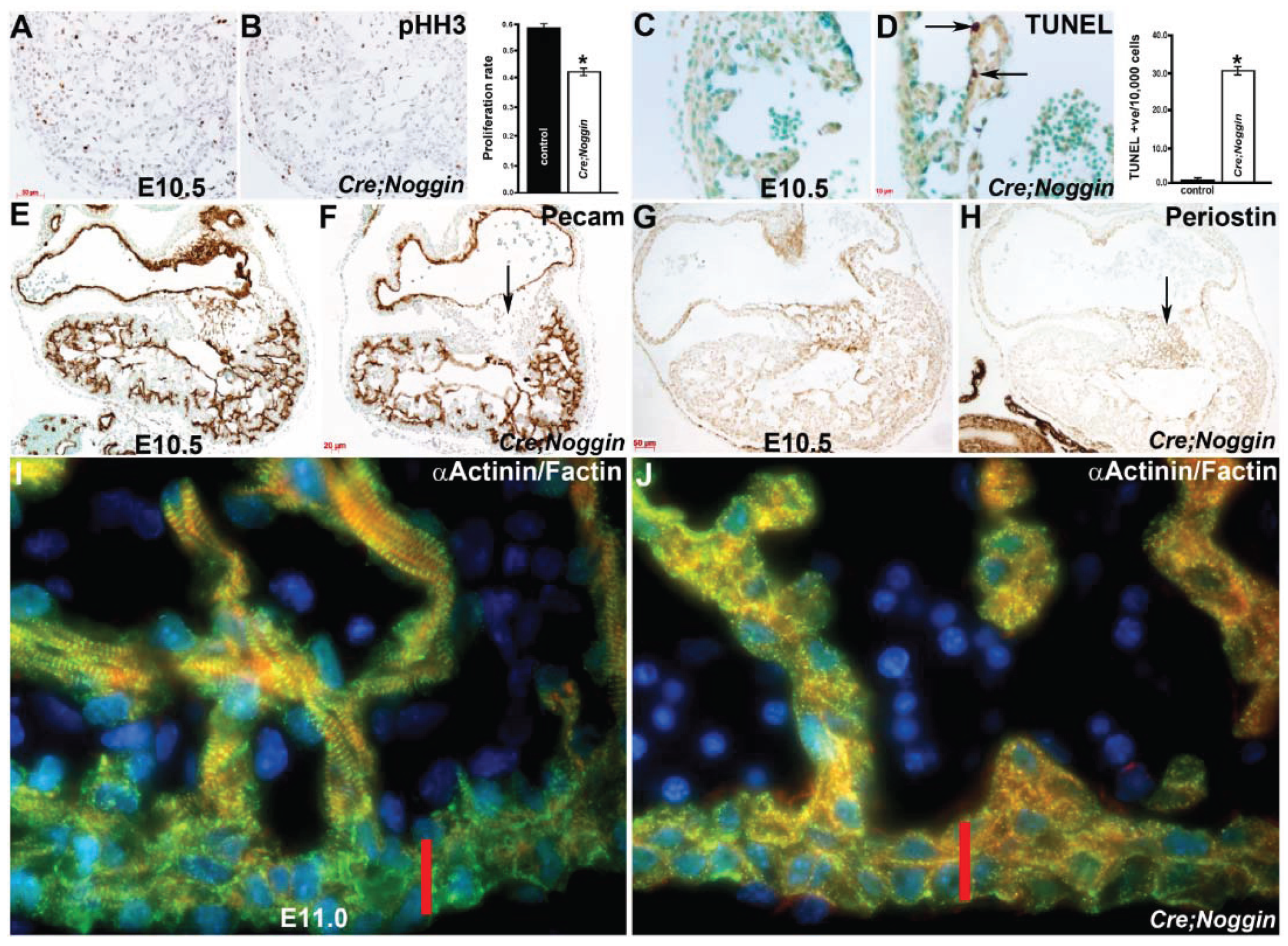 Jcdd 01 00214 g003 1024