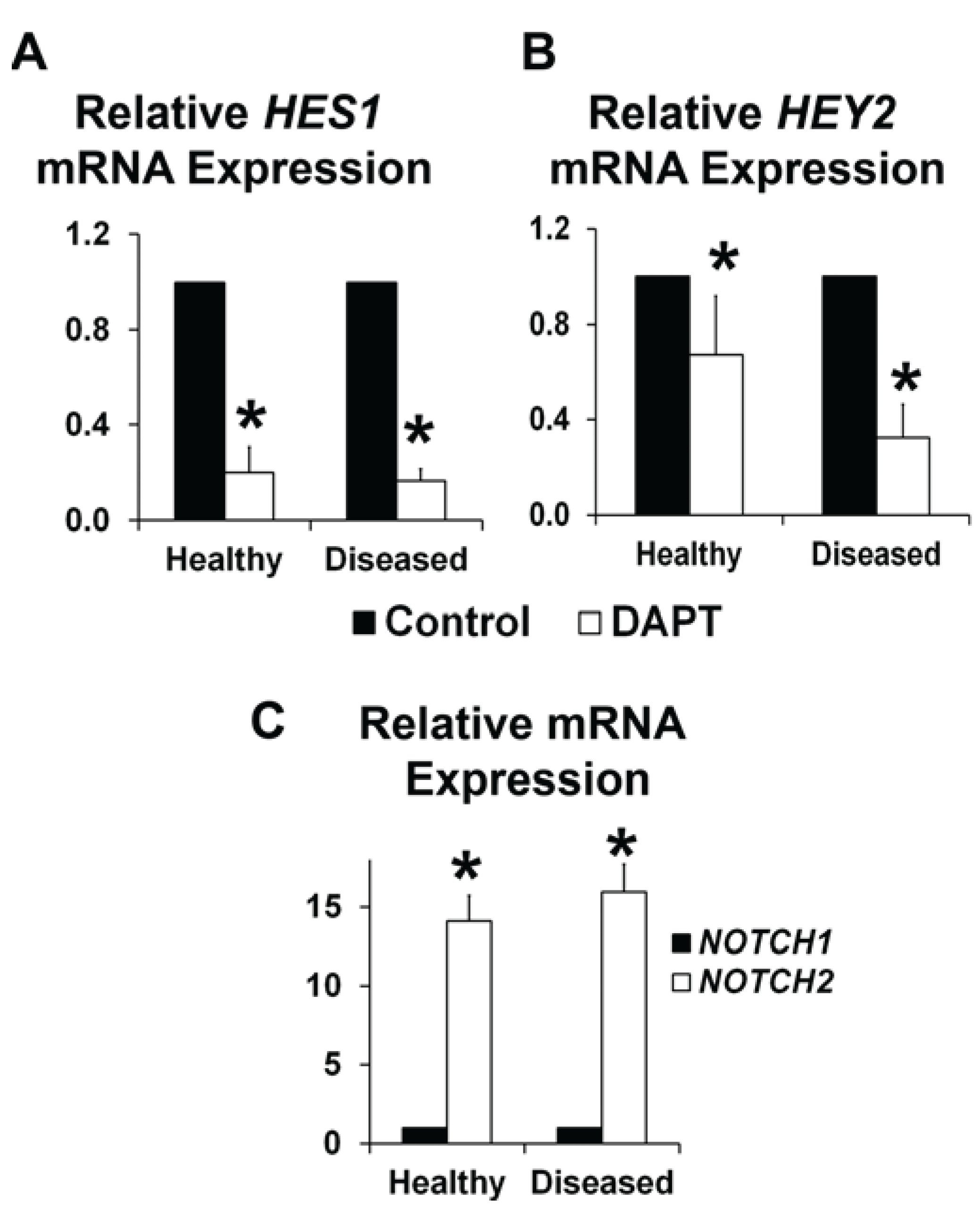 Jcdd 01 00237 g003 1024