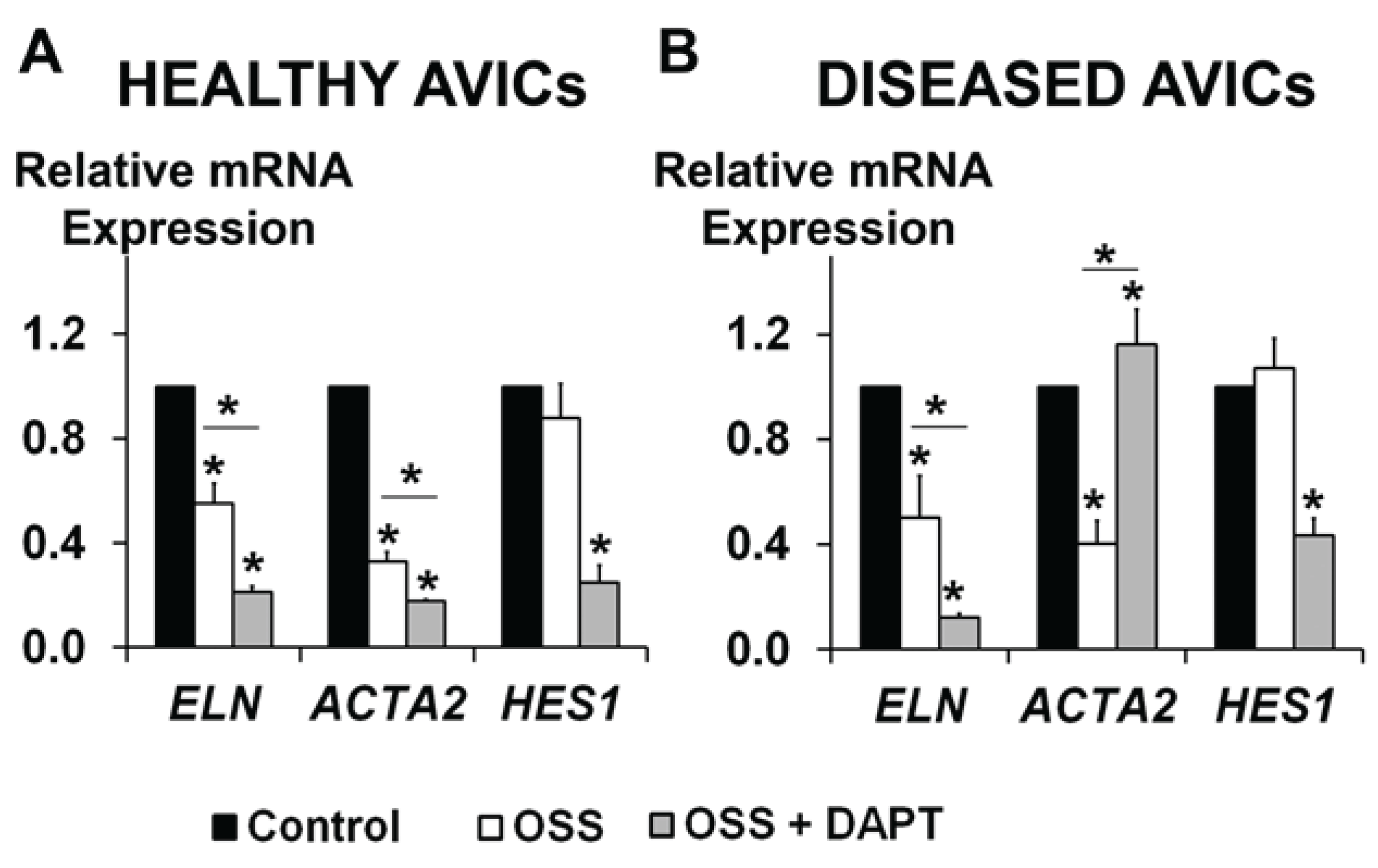 Jcdd 01 00237 g005 1024