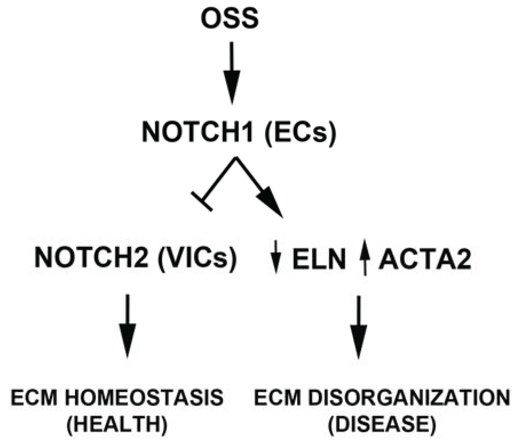 Jcdd 01 00237 g008 1024