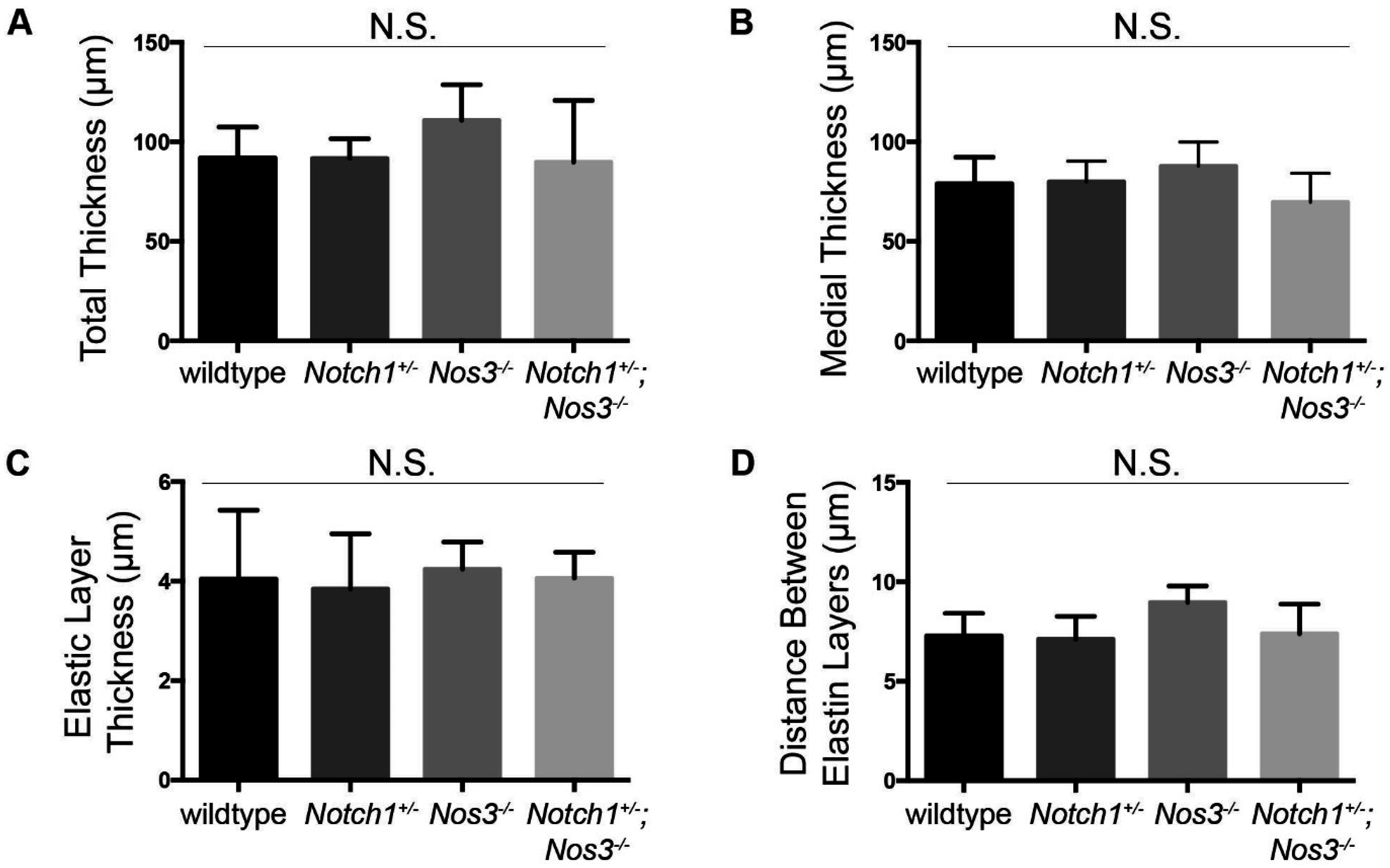 Jcdd 02 00017 g004a 1024