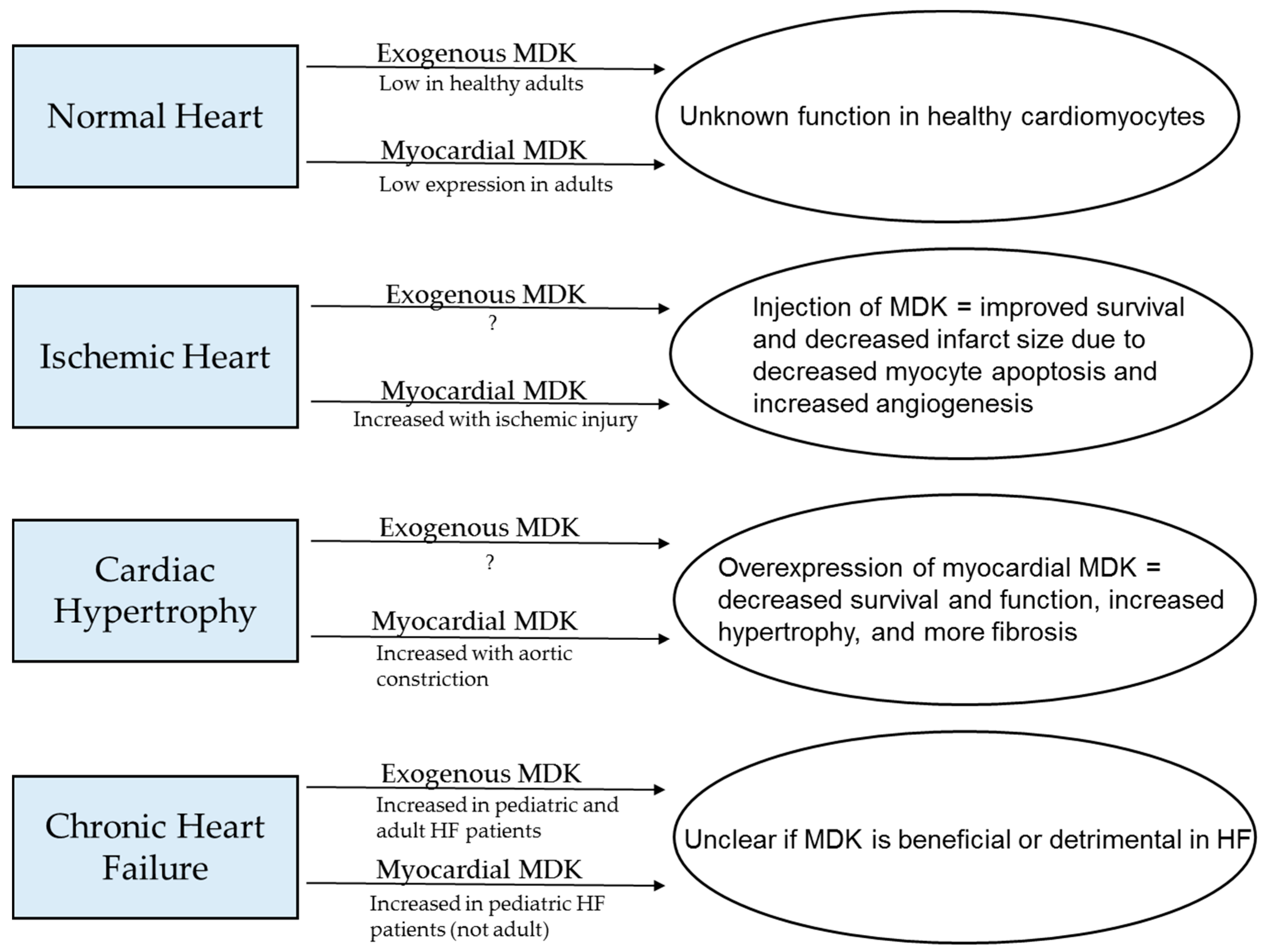 Jcdd 04 00013 g003 Jcdd 04 00013 g003