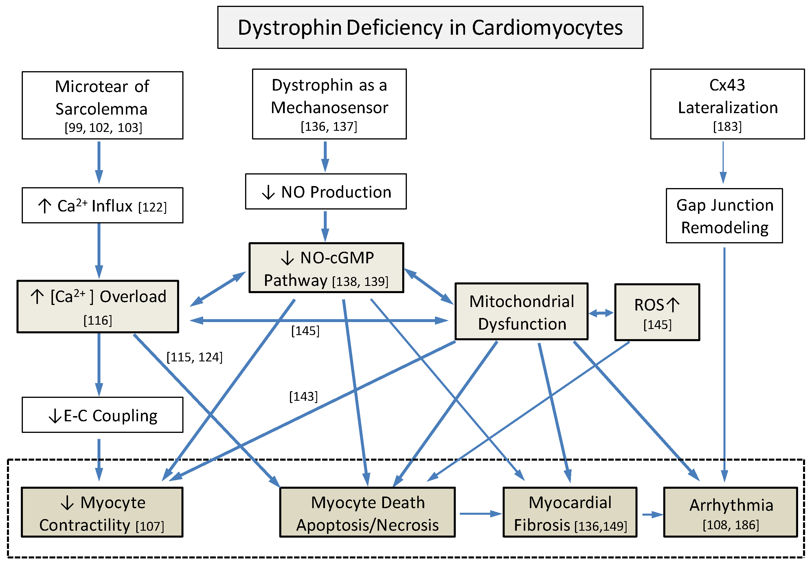 Jcdd 04 00014 g002 Jcdd 04 00014 g002