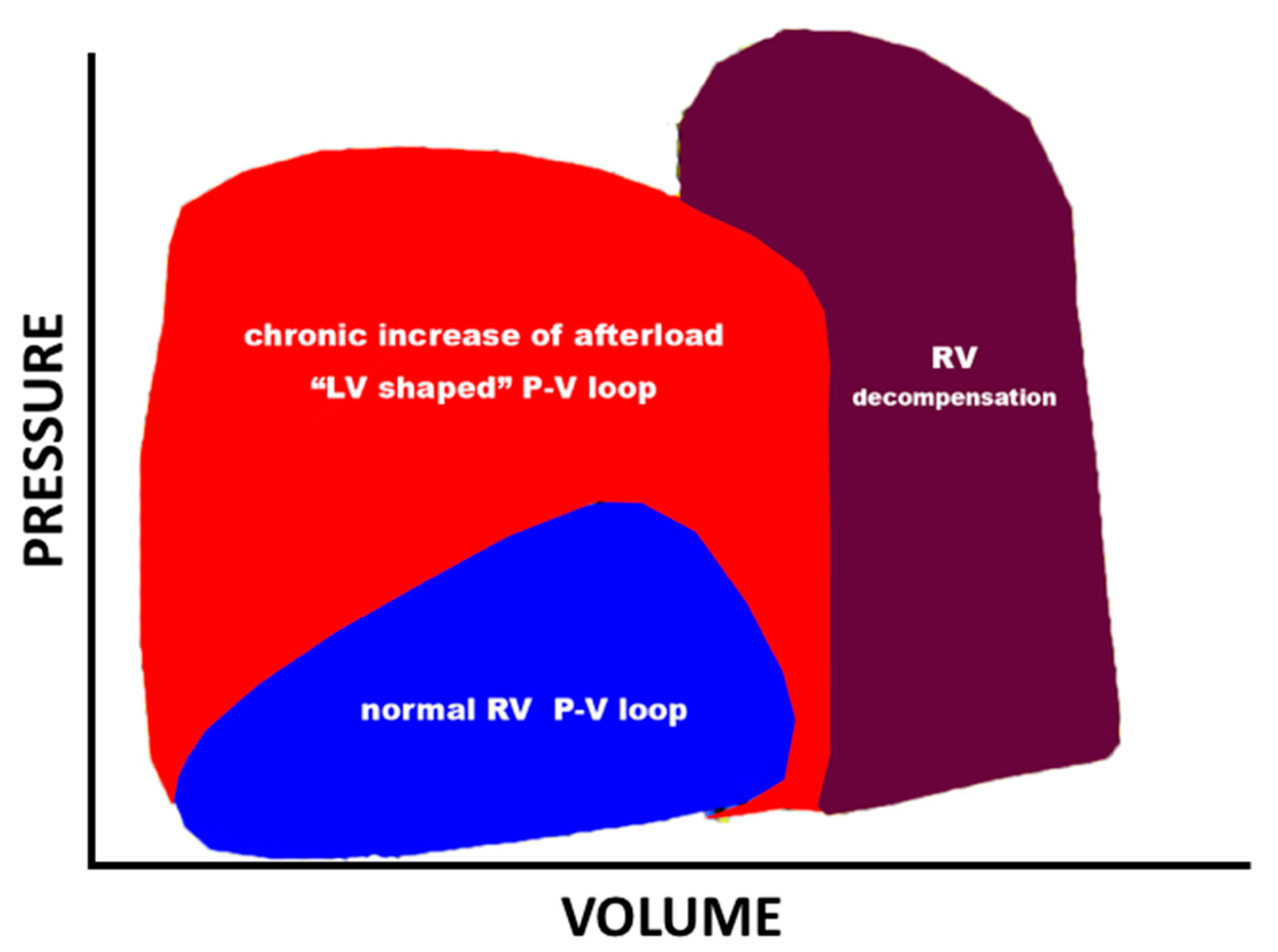 Jcdd 04 00018 g001 Jcdd 04 00018 g001