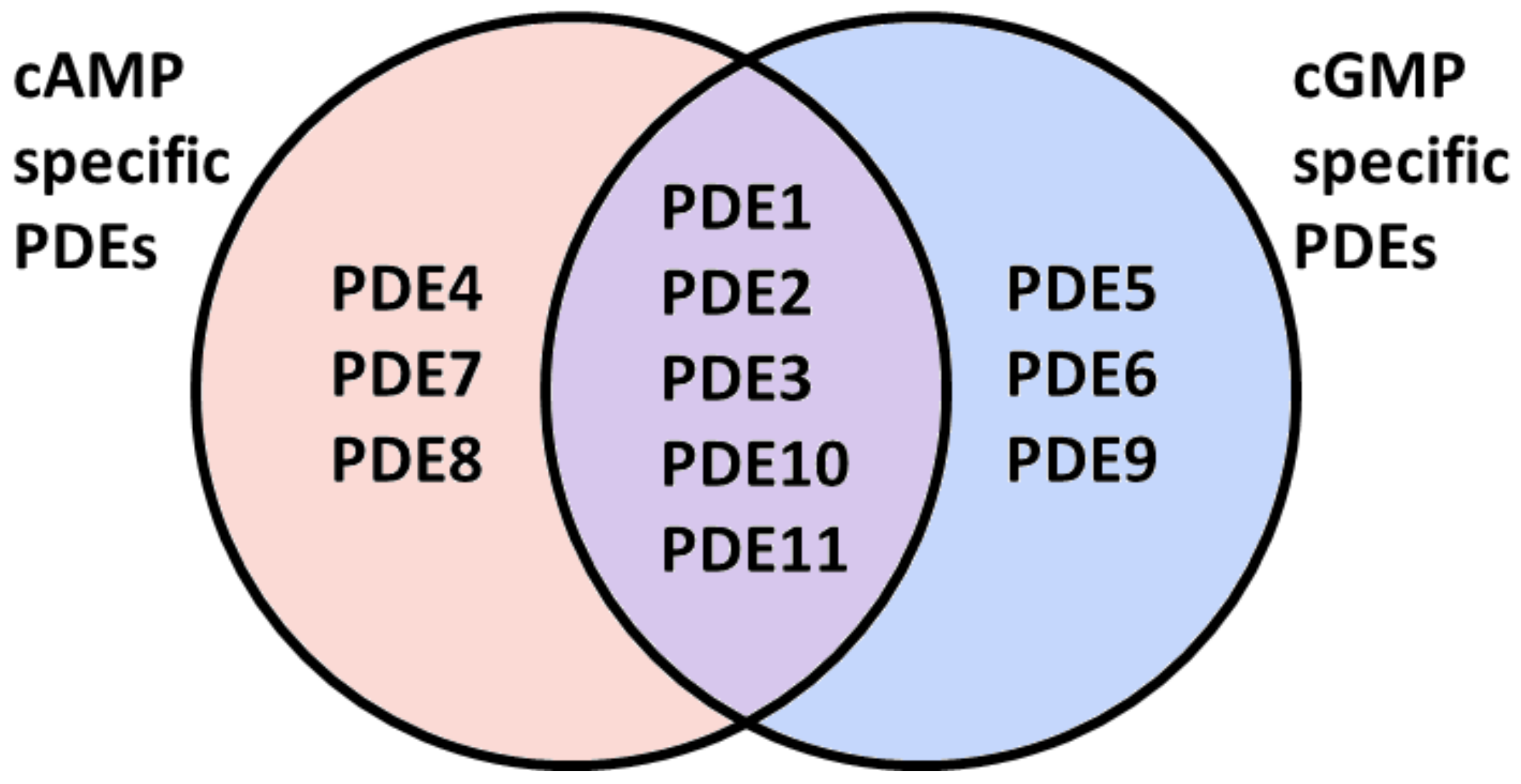 Jcdd 05 00014 g002 Jcdd 05 00014 g002