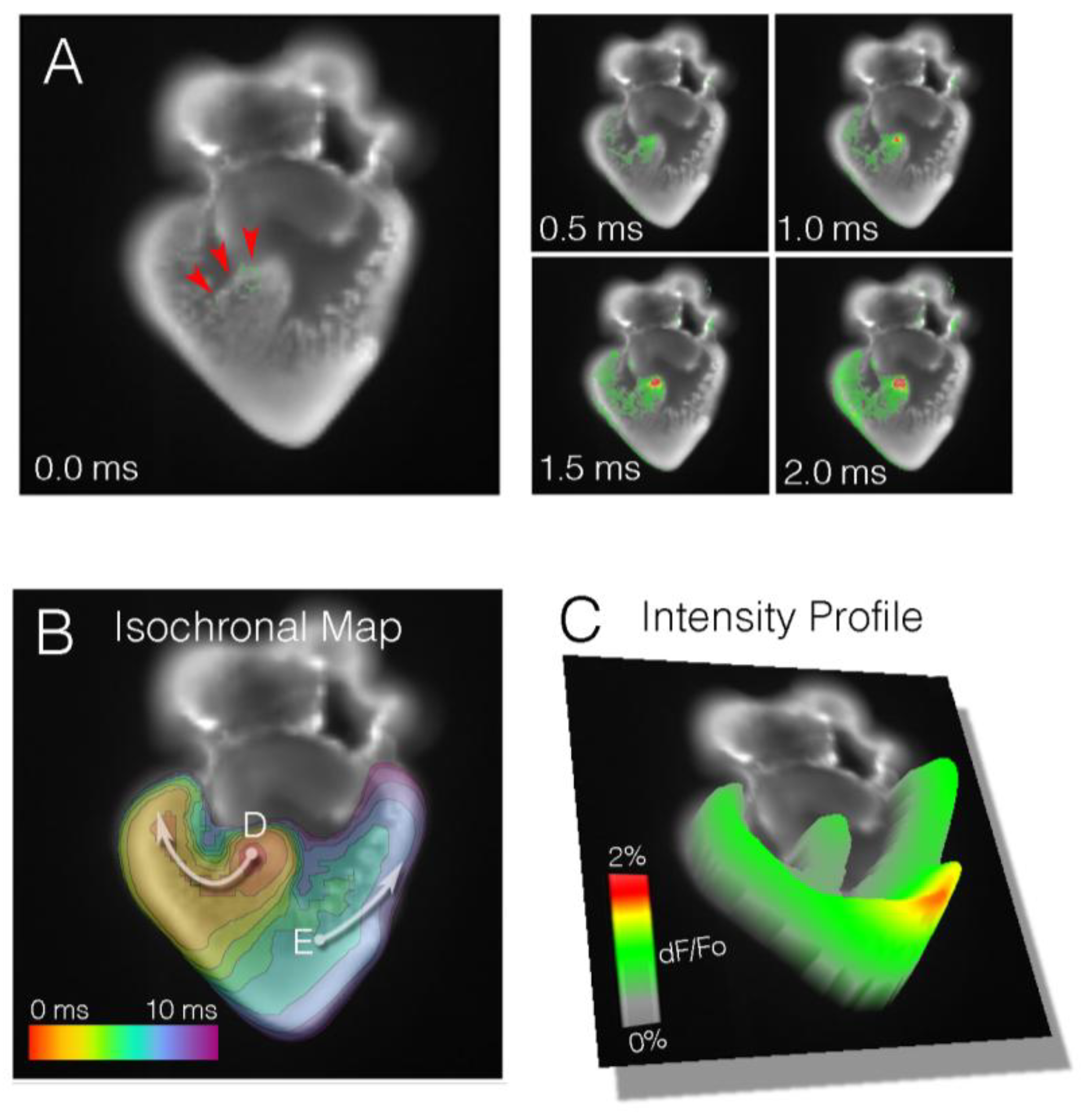 Jcdd 05 00028 g002a Jcdd 05 00028 g002a