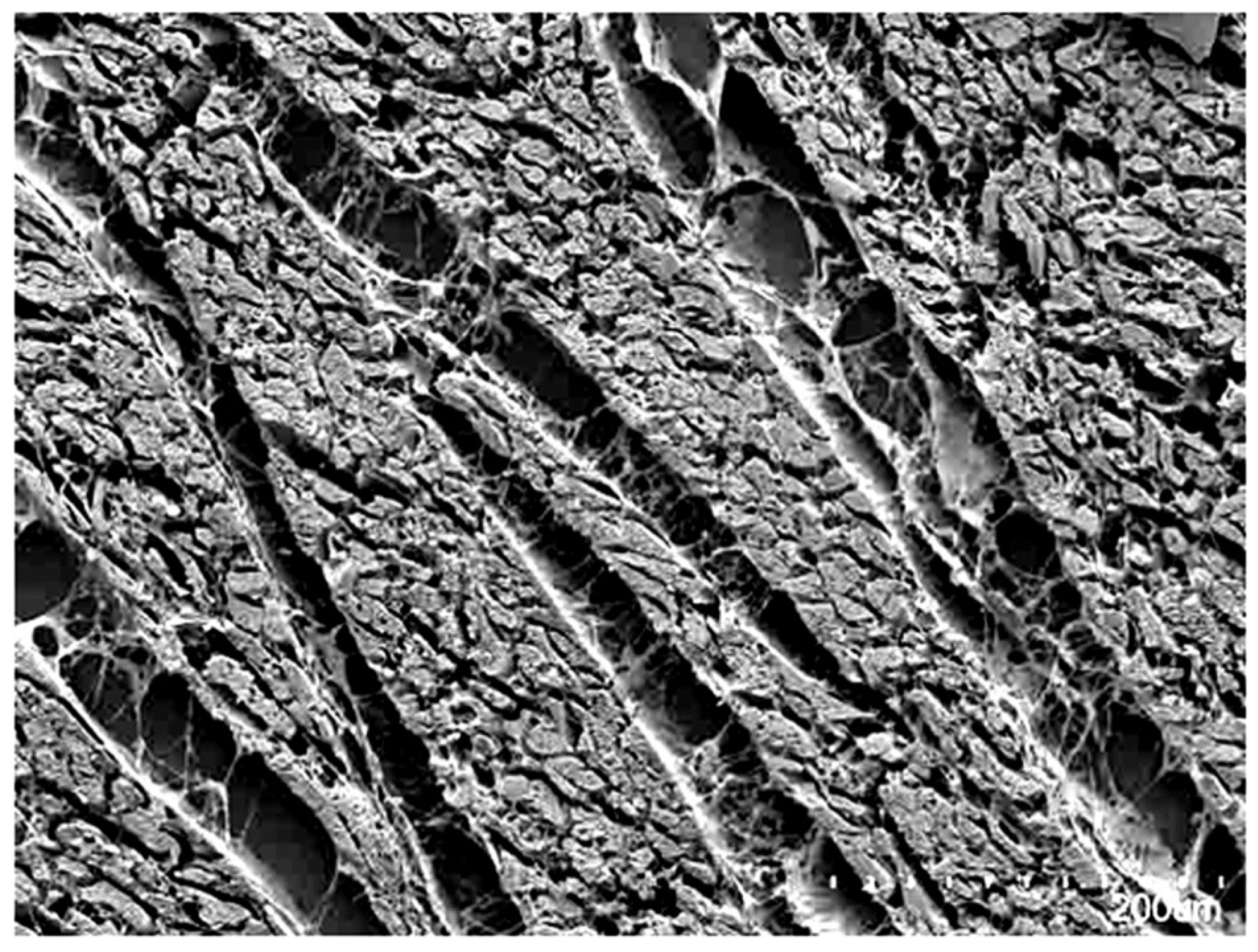 Jcdd 05 00034 g001 Jcdd 05 00034 g001