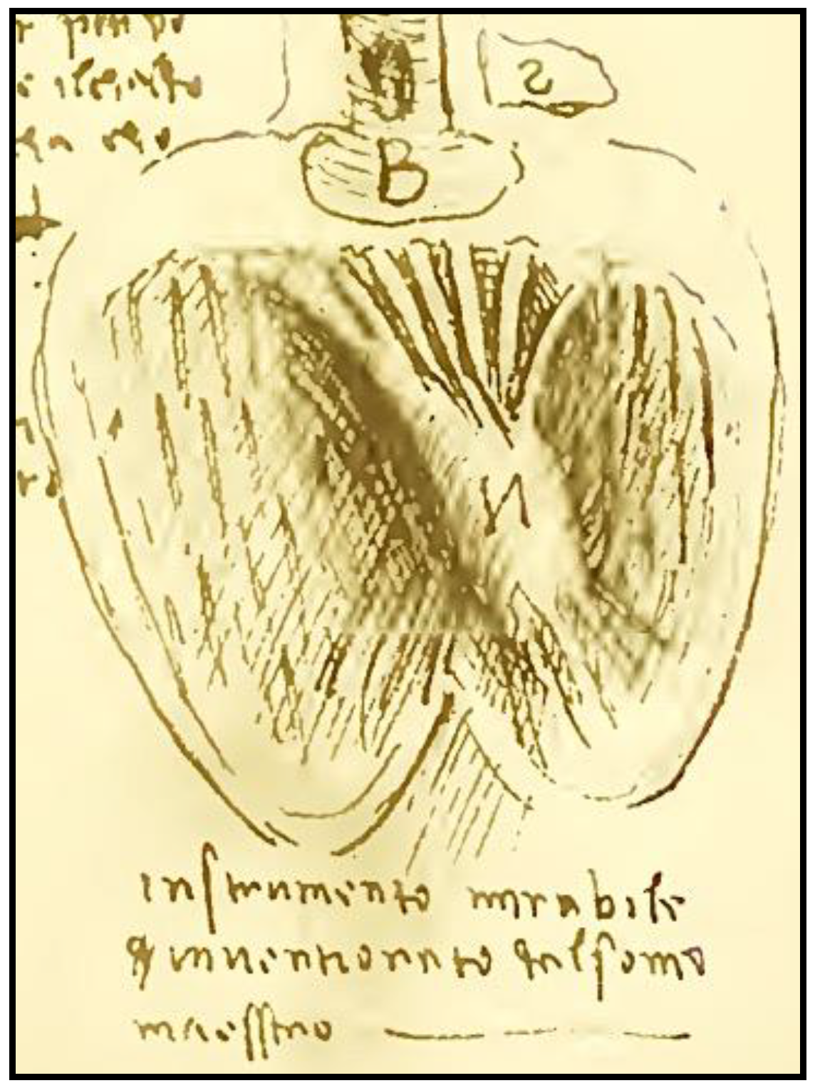 Jcdd 05 00055 g001