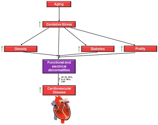 Sudden Heart Attack Deaths: 6 Lifestyle Modifications to Prevent Heart  Diseases In Youngsters