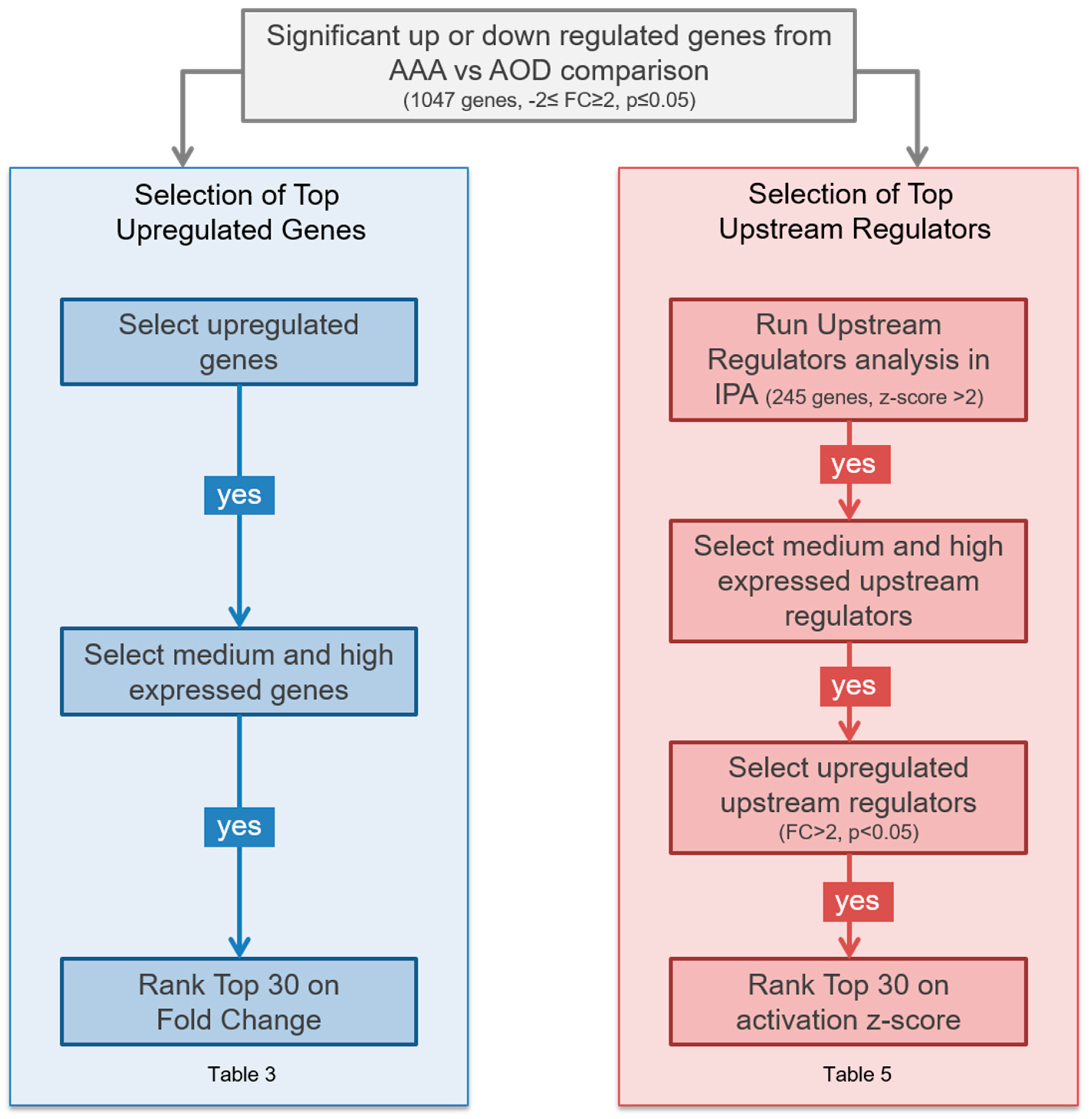 Jcdd 06 00038 g002 Jcdd 06 00038 g002