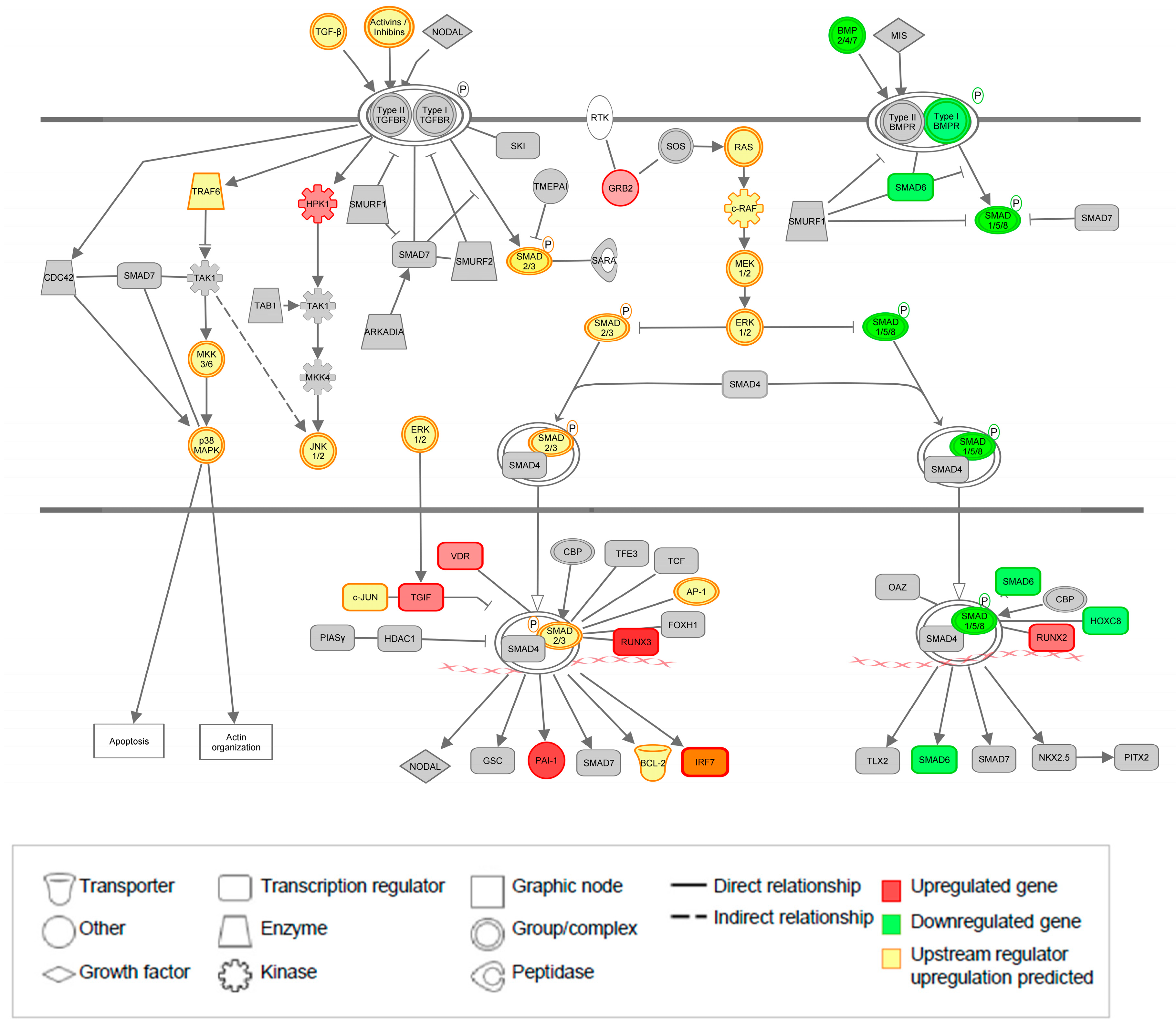 Jcdd 06 00038 g005 Jcdd 06 00038 g005