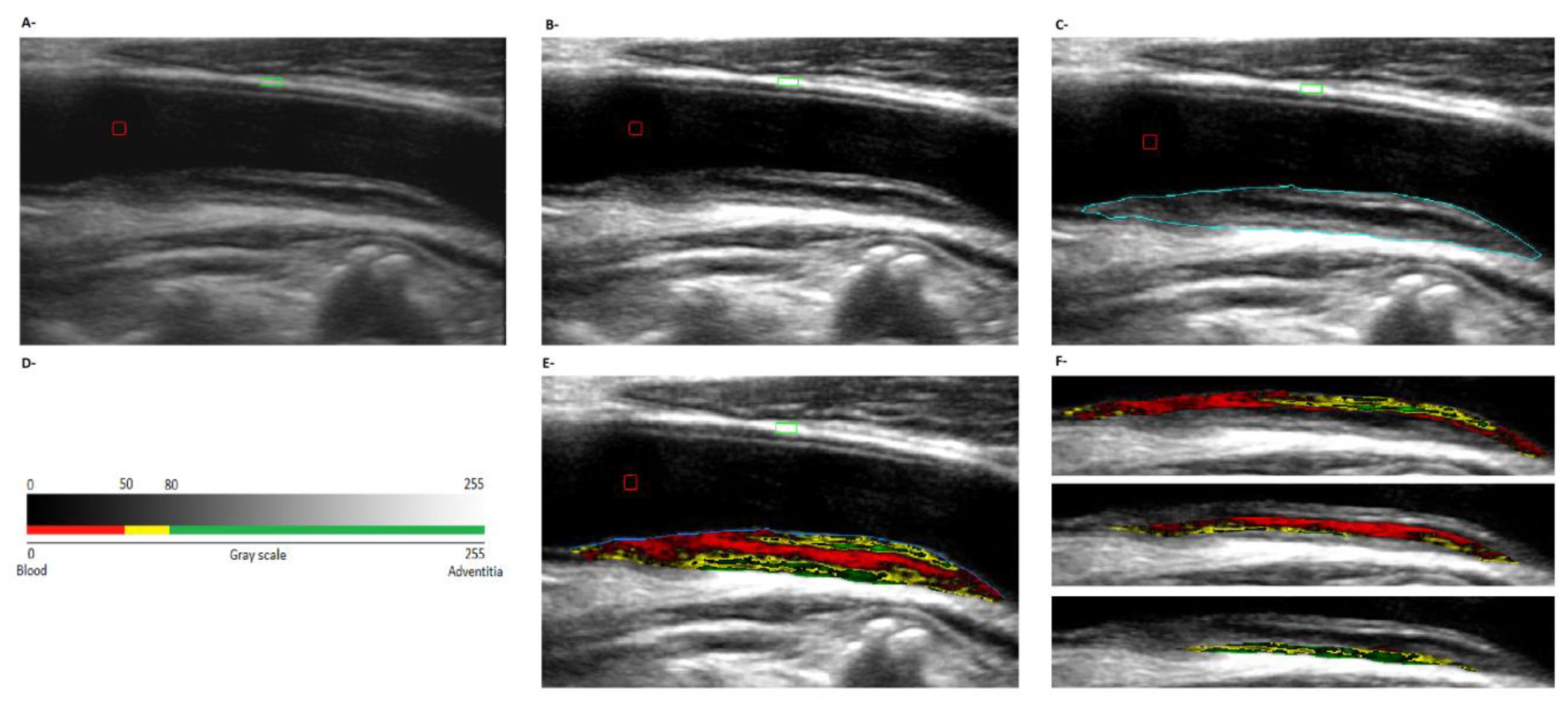 Jcdd 07 00011 g001 Jcdd 07 00011 g001