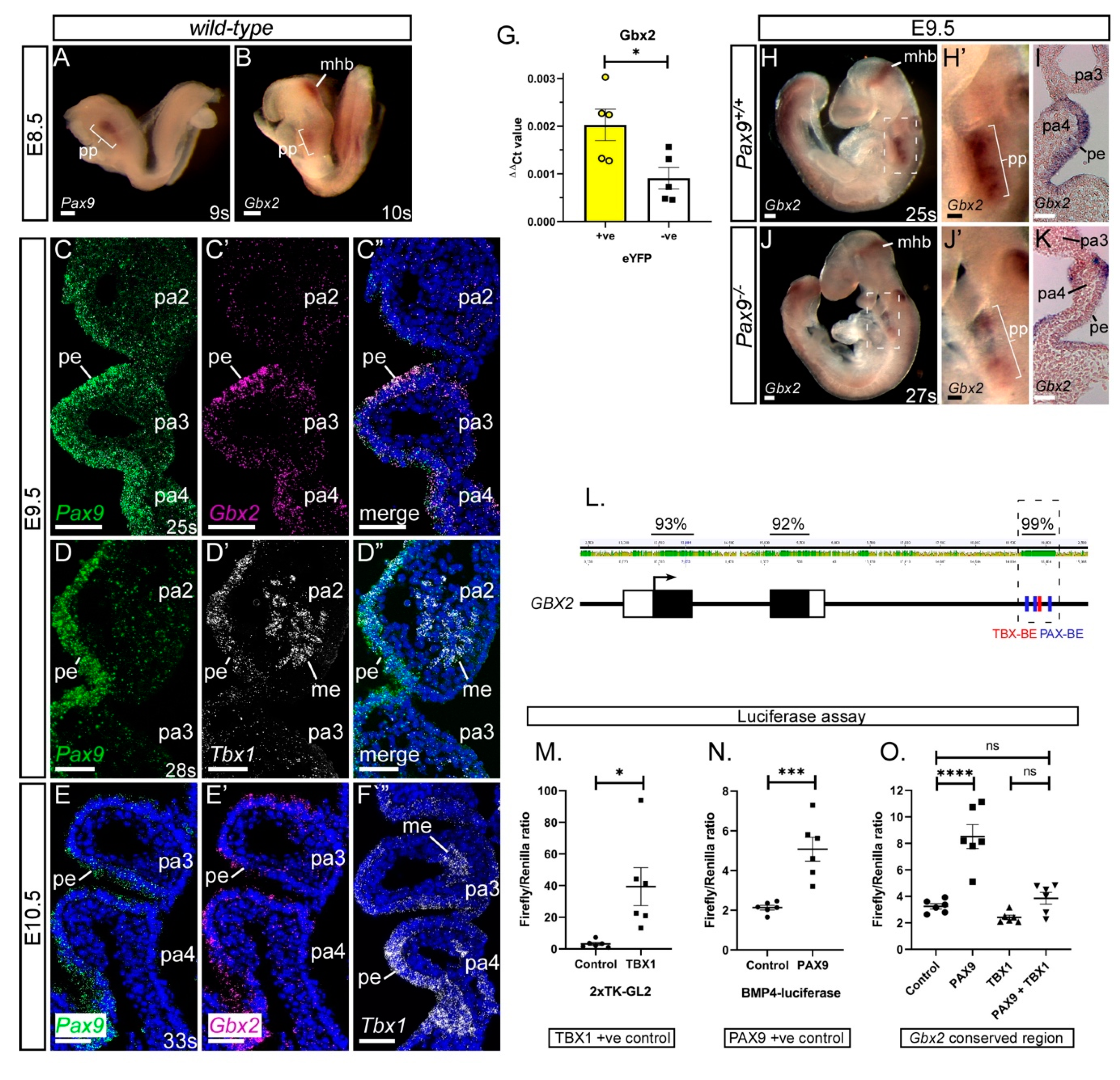 Jcdd 07 00020 g001 Jcdd 07 00020 g001