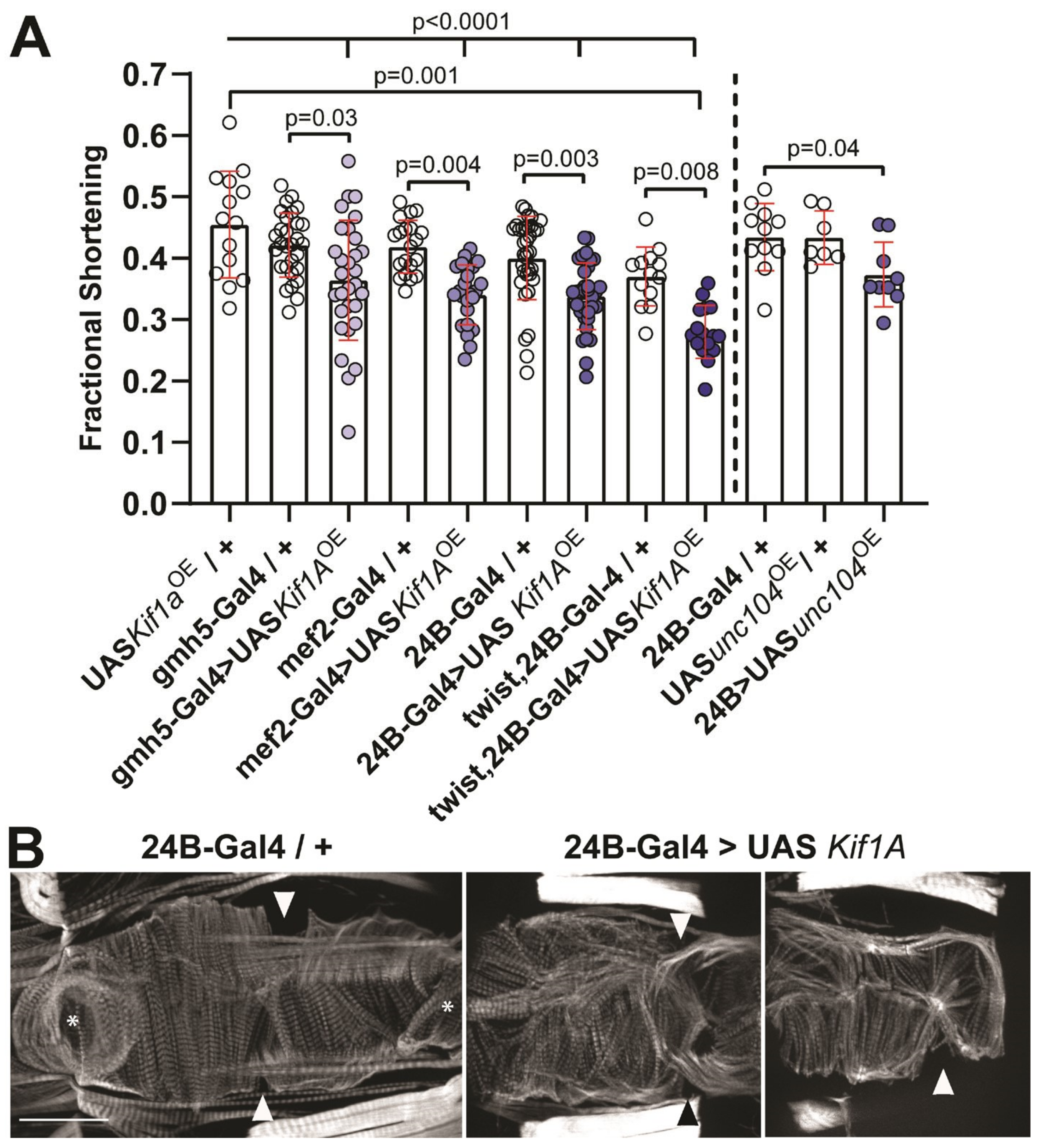 Jcdd 07 00022 g002 Jcdd 07 00022 g002